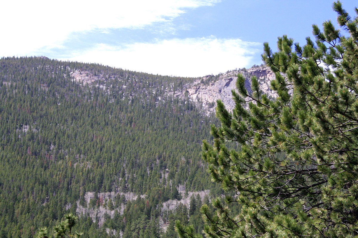 View 8