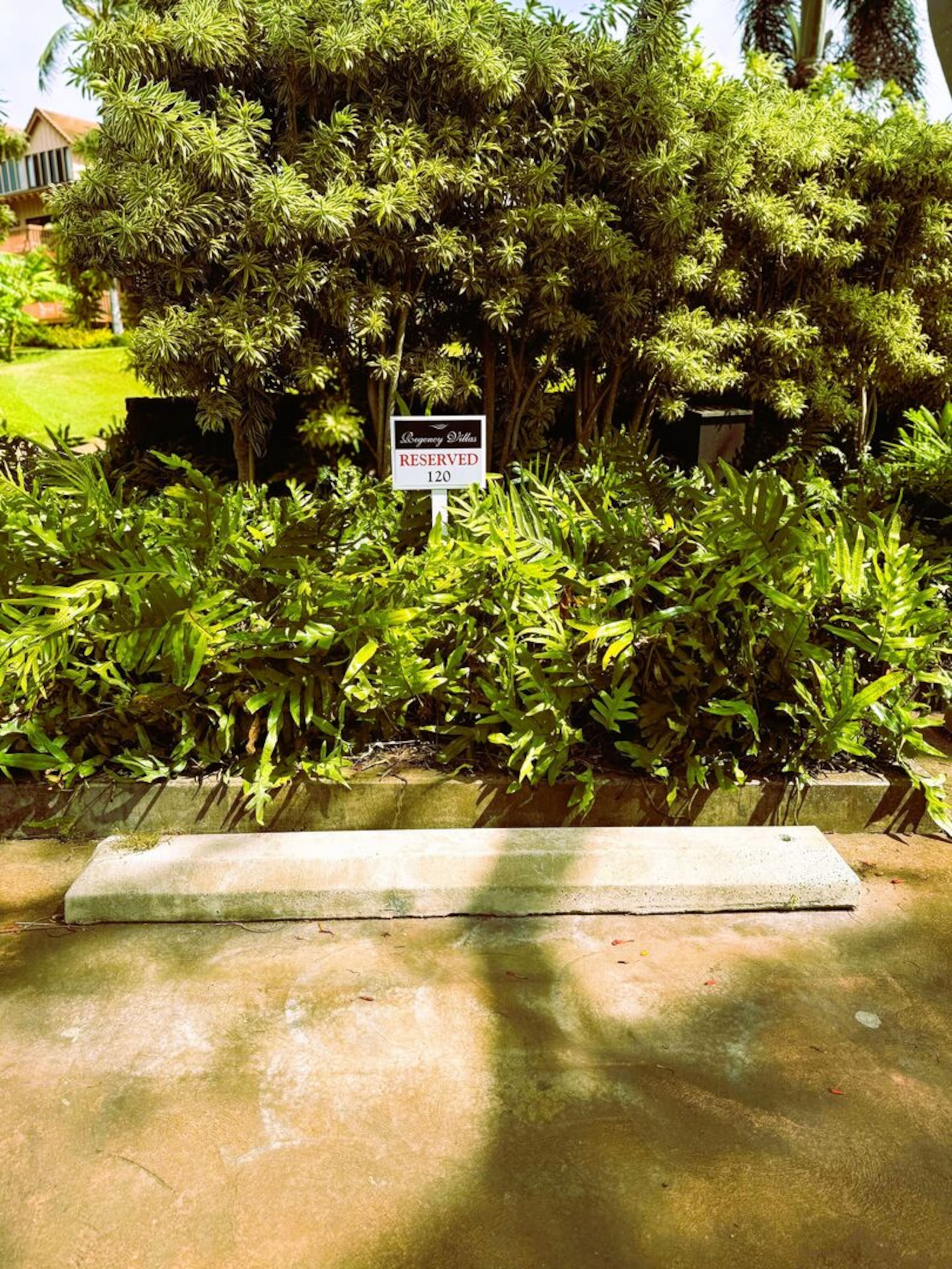 Condo in Koloa · ★4.88 · 3 bedrooms · 5 beds · 3 baths - Image 17