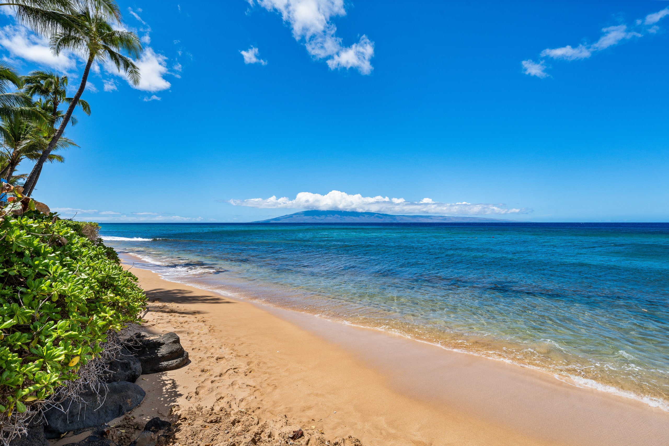 Condo in Lahaina · ★4.83 · 1 bedroom · 2 beds · 1 bath - Image 27