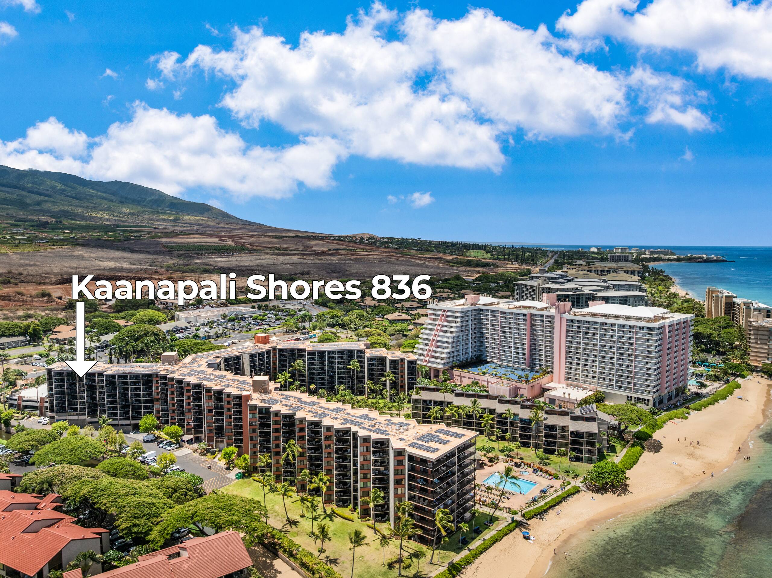 Condo in Lahaina · ★4.55 · 1 bedroom · 2 beds · 1 bath - Image 36
