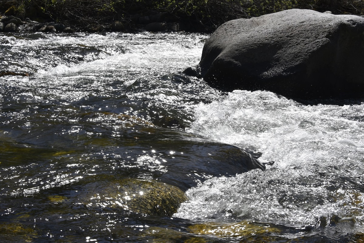The river flows gently over smooth stones, creating a shimmering effect on the water's surface. Sunlight reflects off the moving water, enhancing the natural beauty of the riverfront setting.