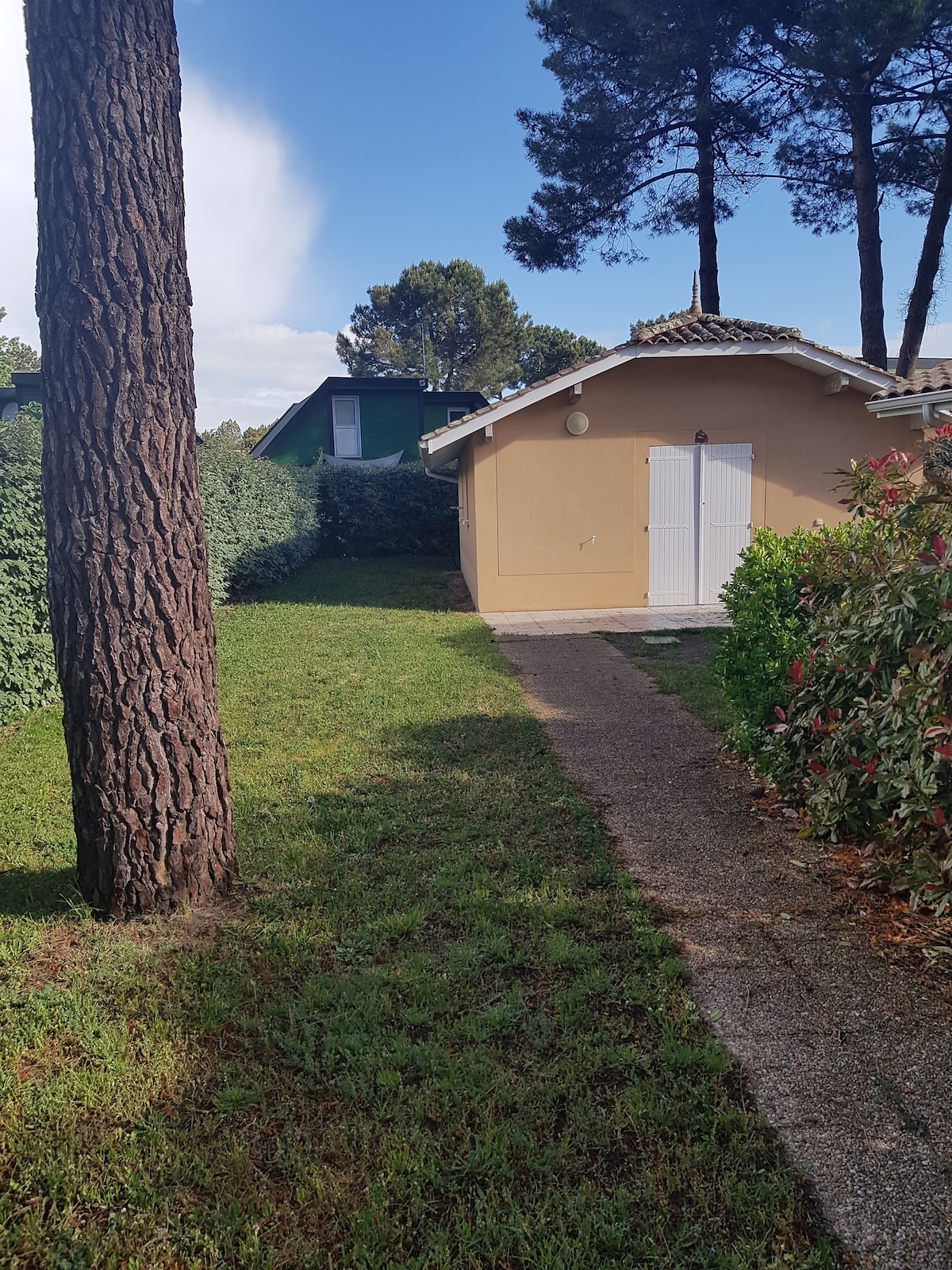 Popular Airbnb listing: House-Comfort-Wet room-Plain Pied-T2 in Le Verdon Sur Mer