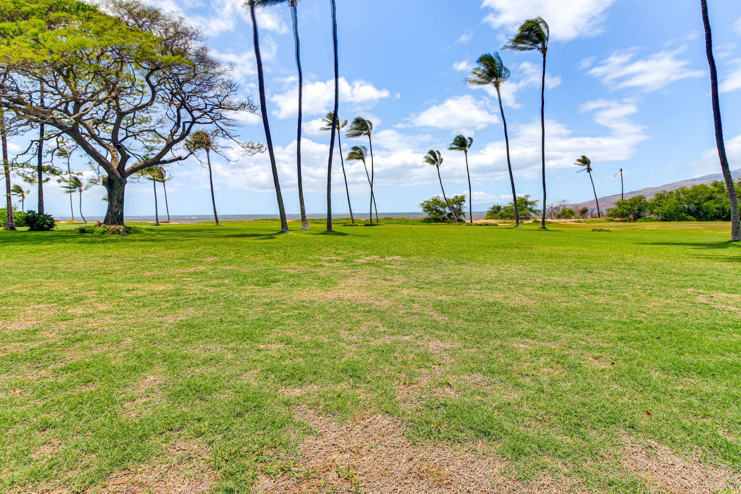 Condo in Kihei · ★4.64 · 1 bedroom · 2 beds · 1 private bath - Image 21