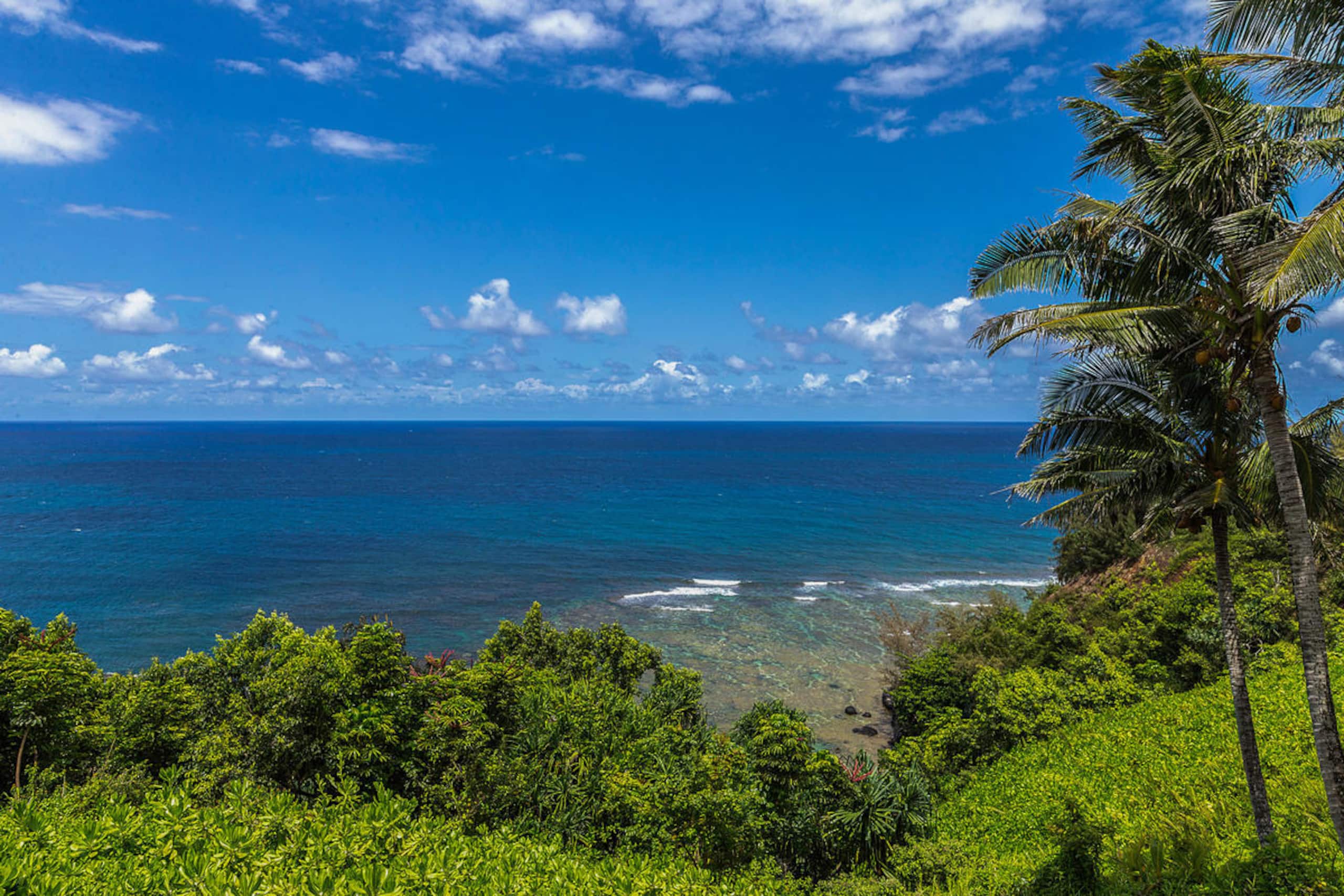 Home in Princeville · ★4.92 · 4 bedrooms · 4 beds · 4.5 baths - Image 21