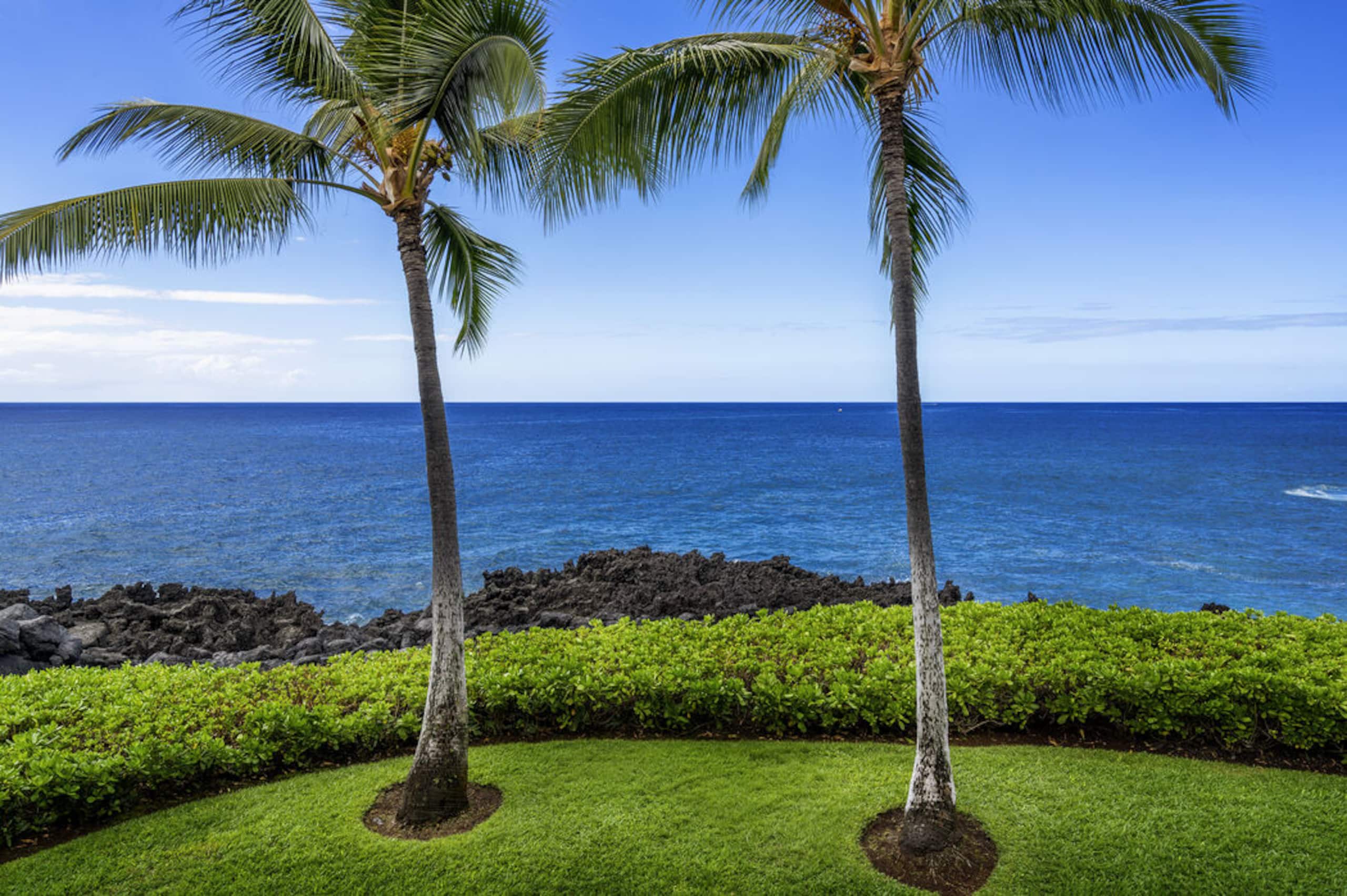 Condo in Kailua-Kona · ★4.83 · 2 bedrooms · 2 beds · 2 baths - Image 32
