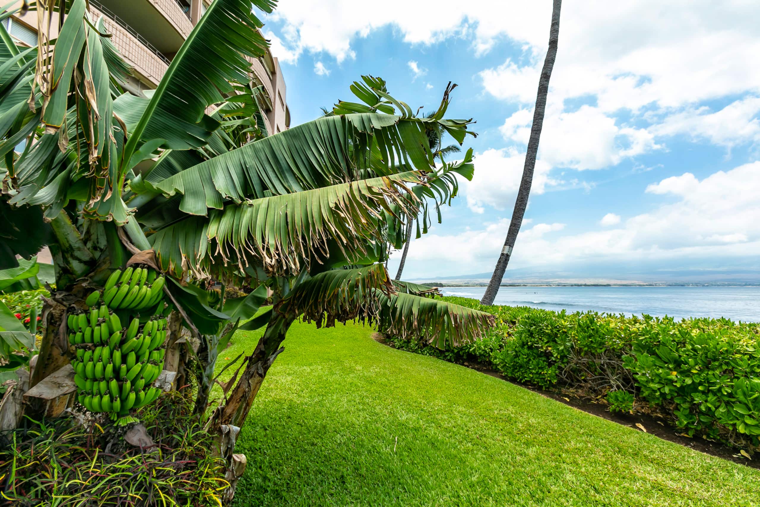 Condo in Wailuku · ★4.66 · 2 bedrooms · 3 beds · 2 shared baths - Image 36