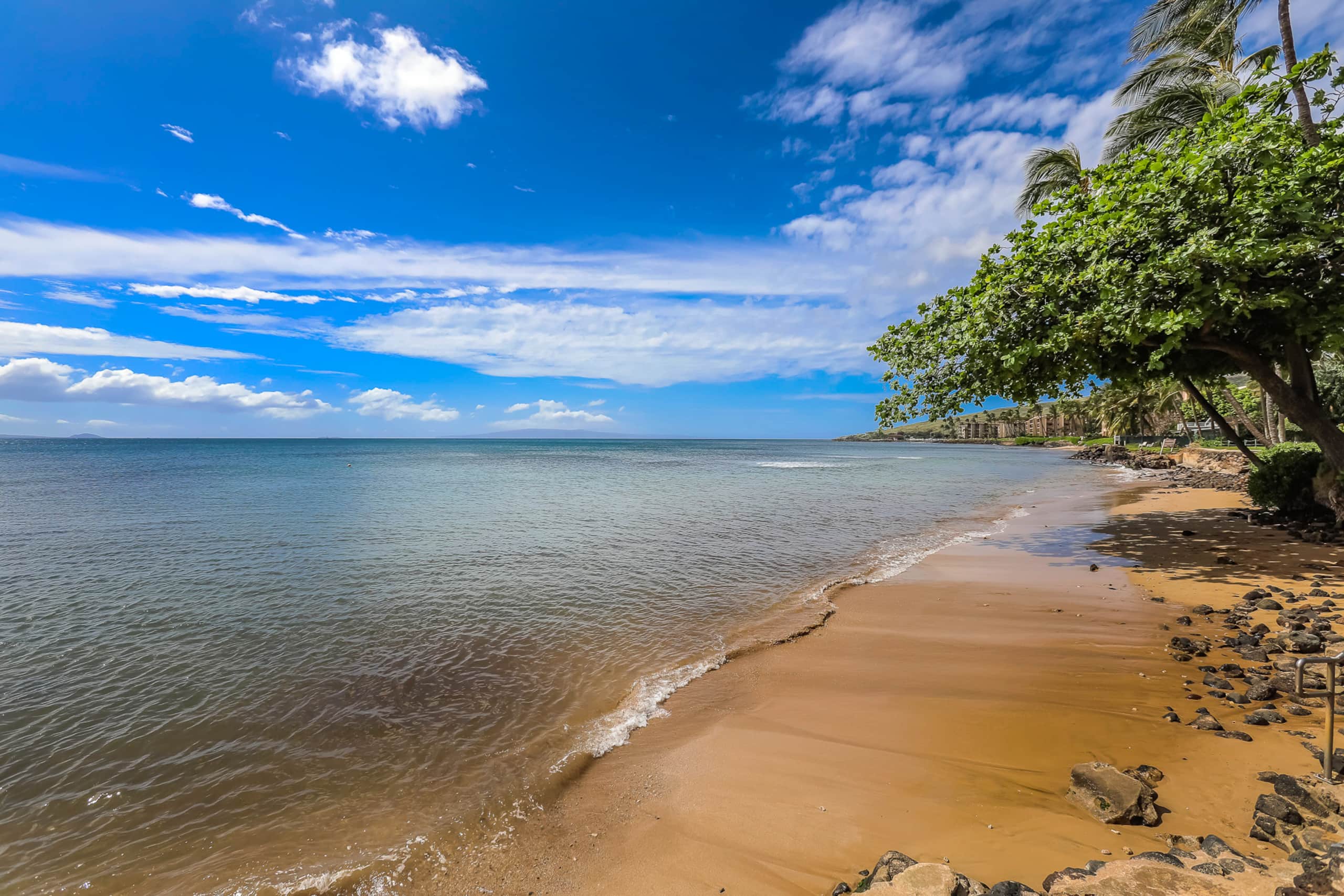 Condo in Wailuku · ★4.66 · 2 bedrooms · 3 beds · 2 shared baths - Image 39