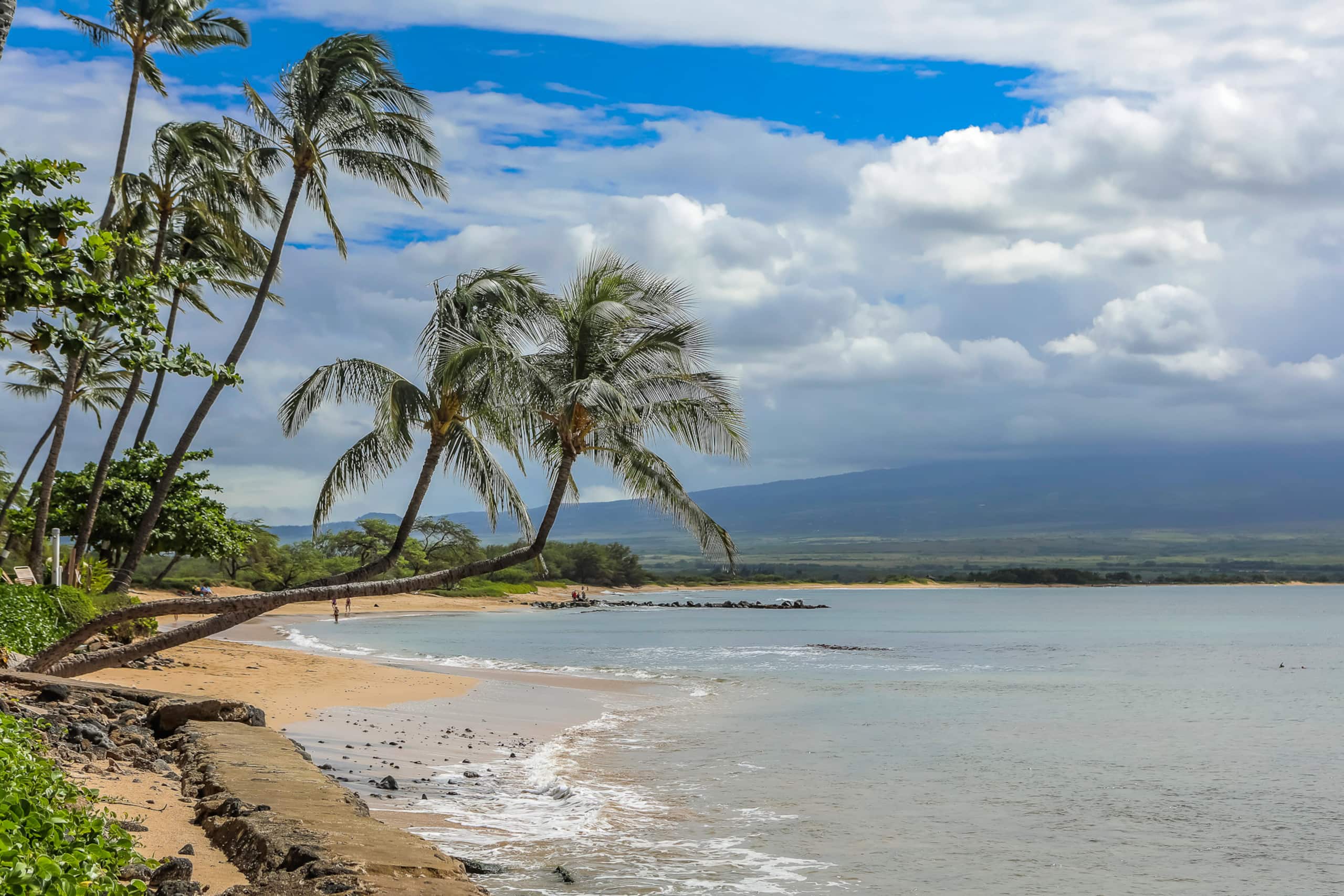 Condo in Wailuku · ★4.66 · 2 bedrooms · 3 beds · 2 shared baths - Image 38