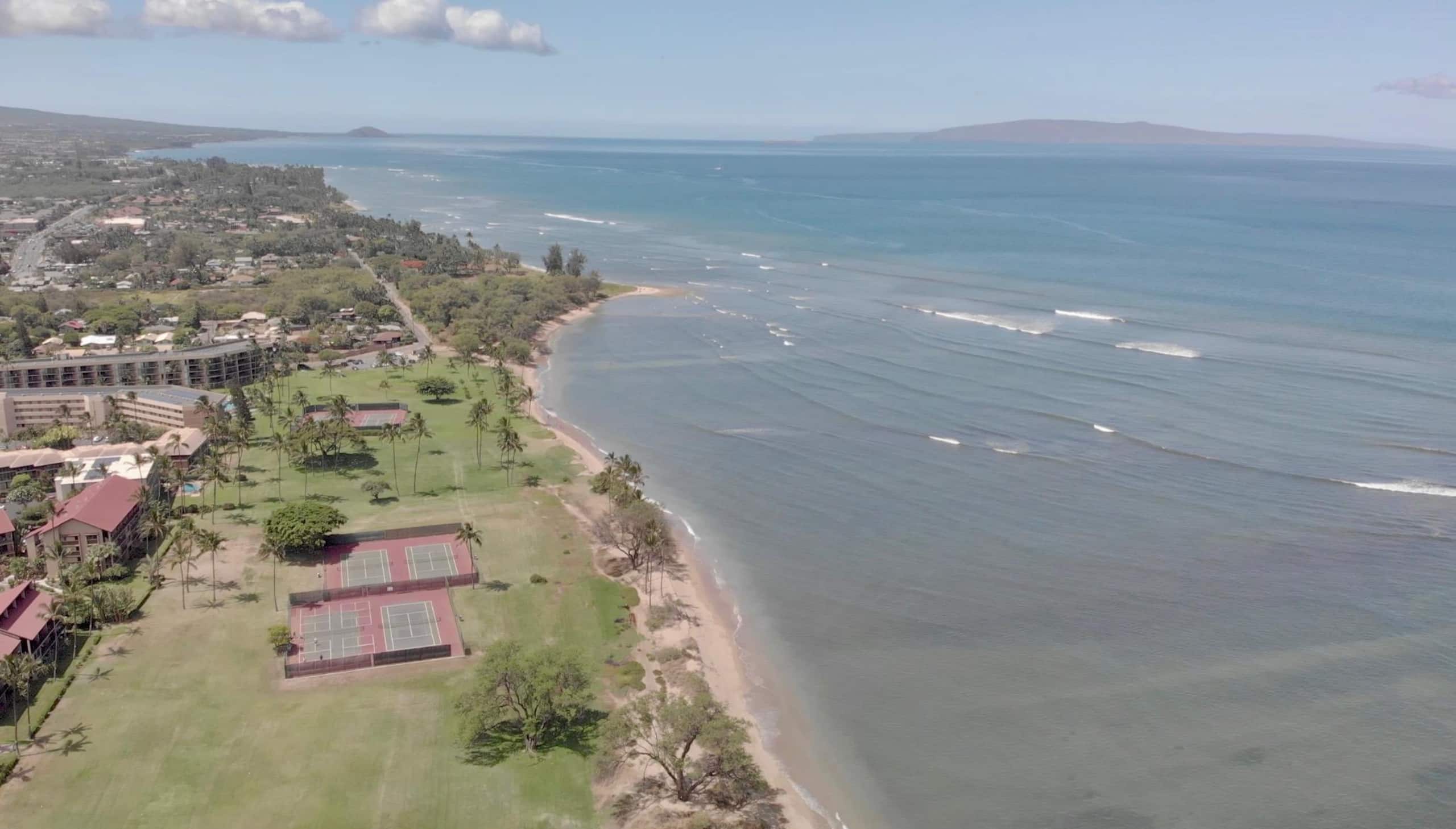 Condo in Kihei · ★4.88 · 2 bedrooms · 2 beds · 2 baths - Image 49