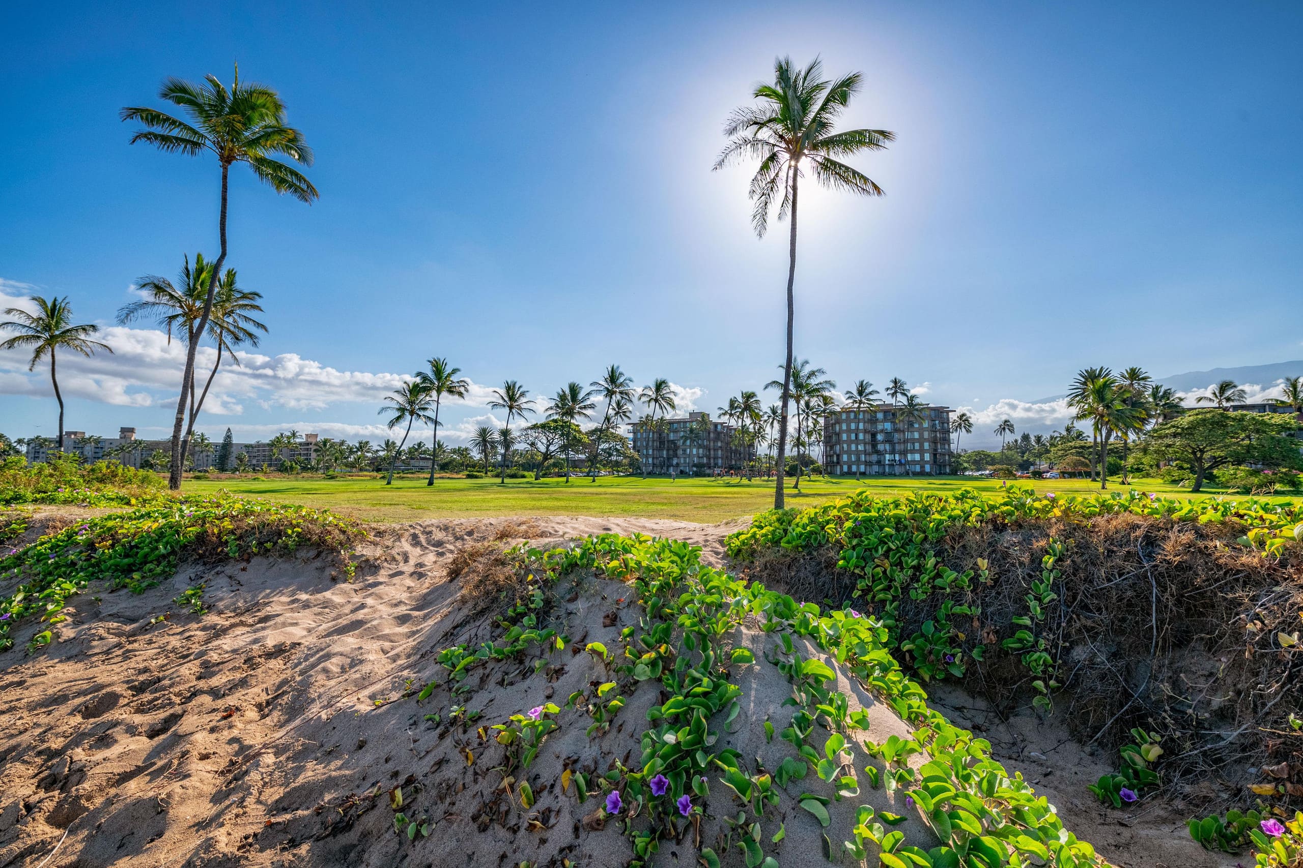 Condo in Kihei · ★4.88 · 2 bedrooms · 2 beds · 2 baths - Image 46