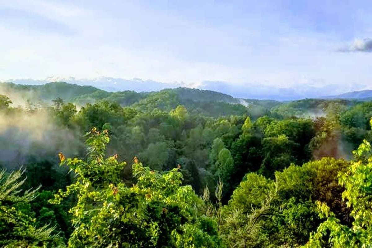 A panoramic view of lush green mountains, enveloped in a light mist. The landscape showcases a variety of trees, with their vibrant foliage creating a serene natural setting. The distant peaks are visible, adding depth to the tranquil scene.