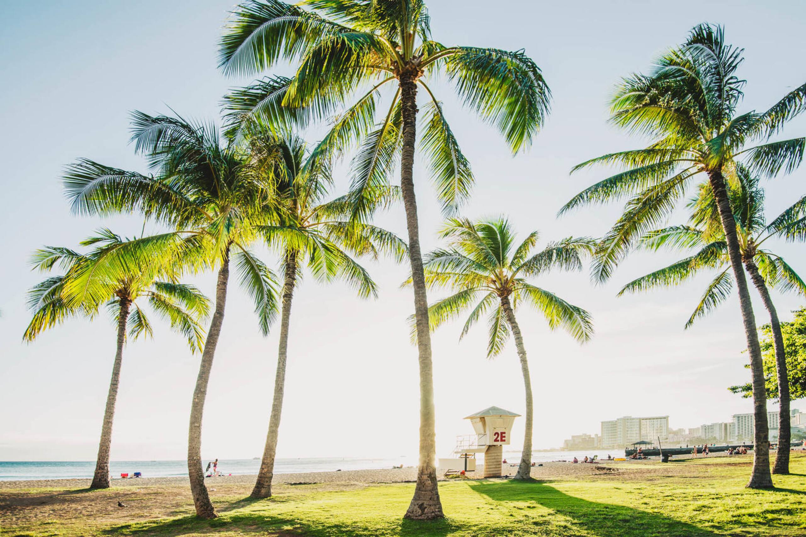Condo in Honolulu · ★4.68 · 1 bedroom · 2 beds · 1 shared bath - Image 24