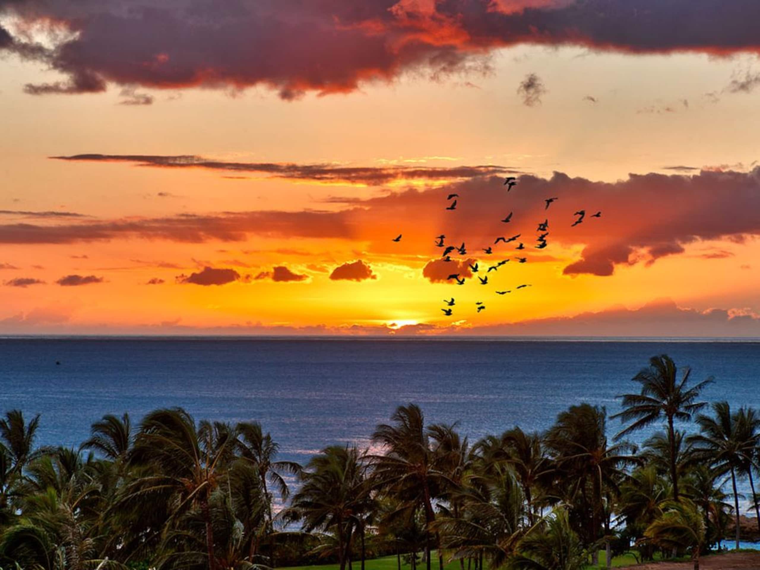 Villa in Honolulu County · ★4.89 · 2 bedrooms · 4 beds · 2 private baths - Image 28