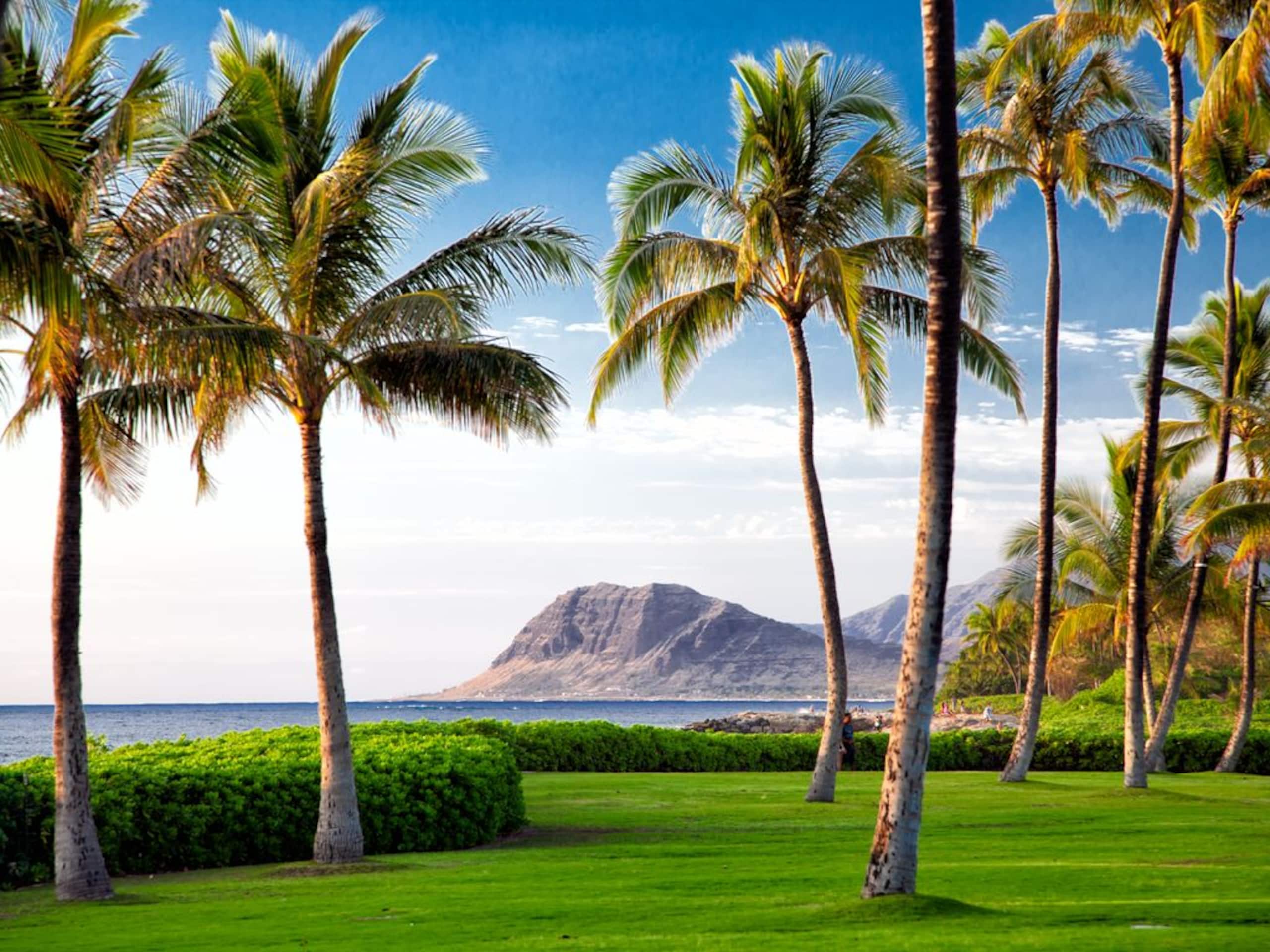 Villa in Ko Olina Beach · ★4.92 · 3 bedrooms · 5 beds · 2.5 baths - Image 25