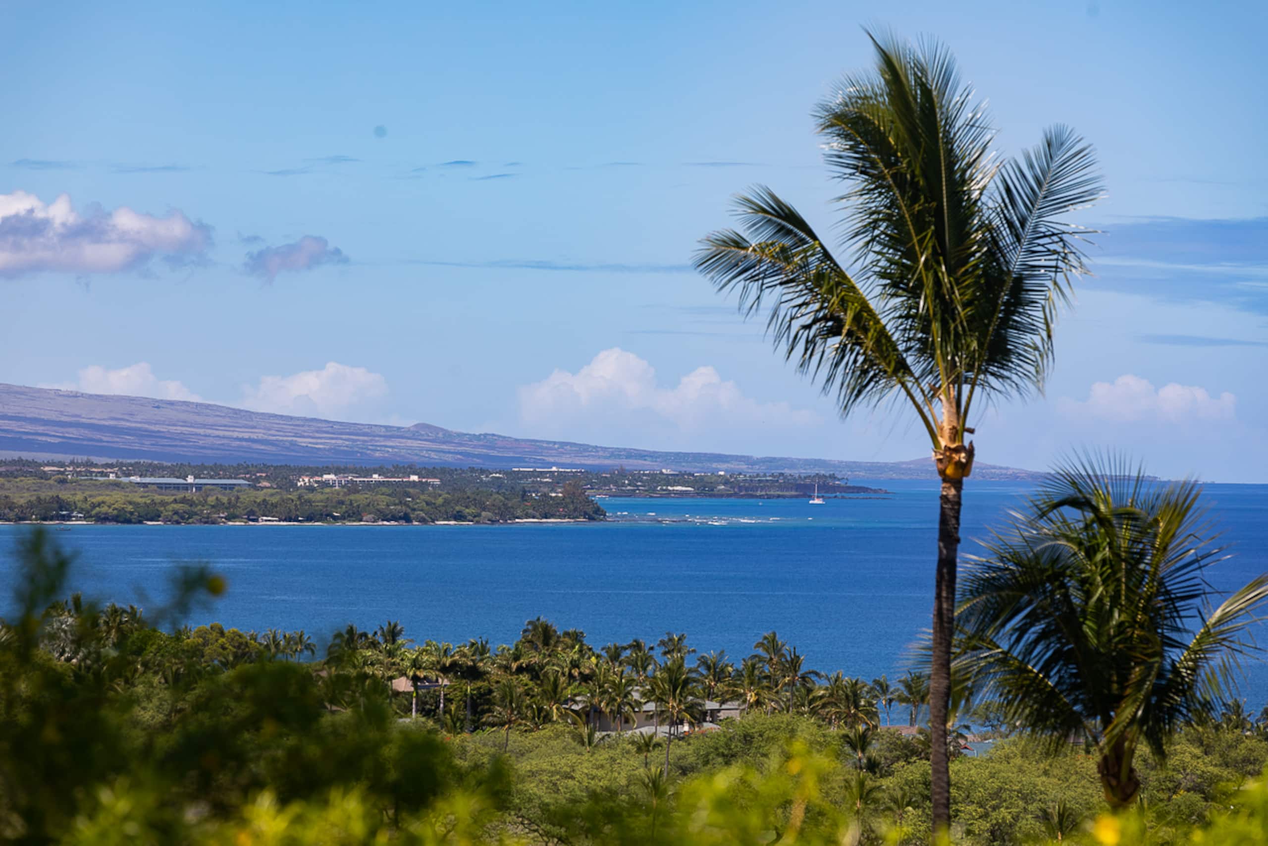 Home in Waimea · ★4.89 · 3 bedrooms · 4 beds · 2.5 baths - Image 49