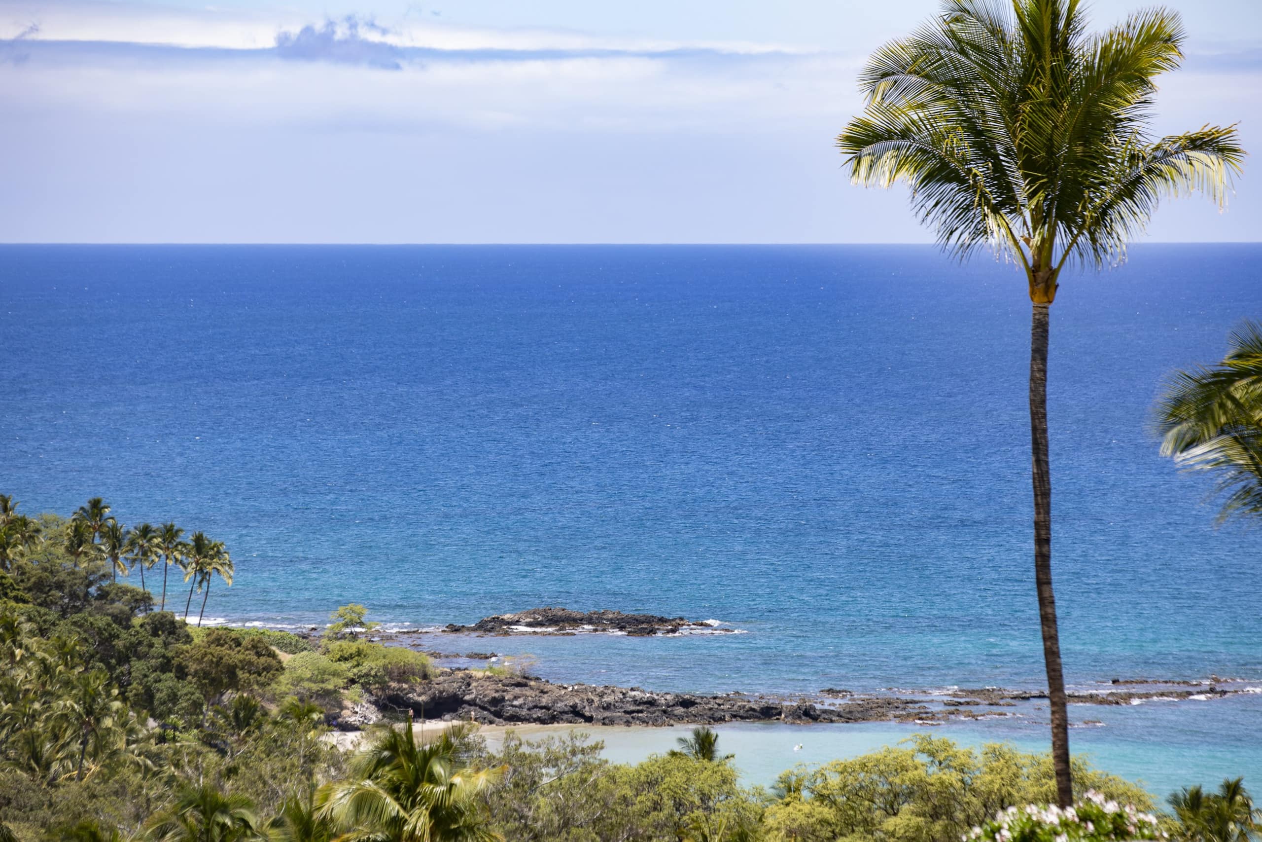 Home in Waimea · ★4.89 · 3 bedrooms · 4 beds · 2.5 baths - Image 50