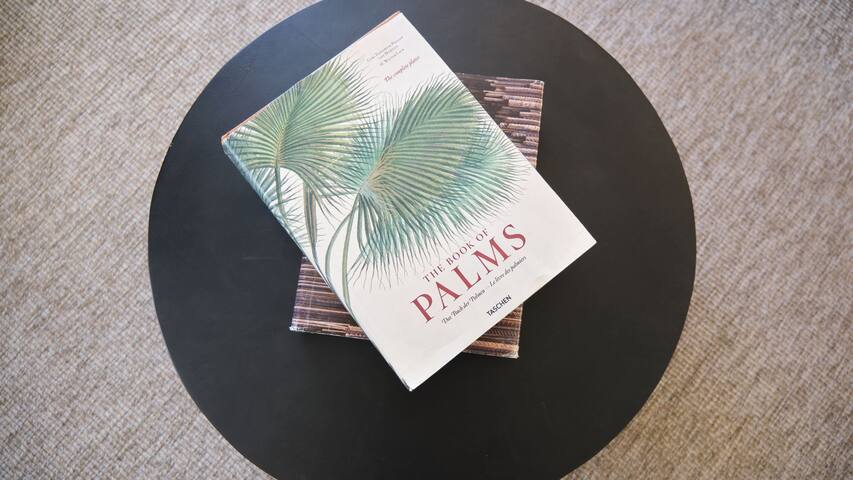 Ando Living – Santa Justa 79 House – 202 gallery image 4