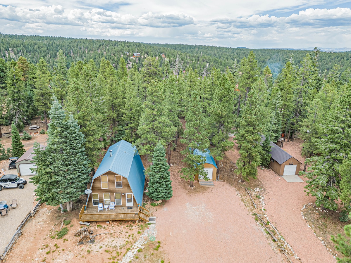 An aerial view of a cozy cabin nestled among tall pine trees, revealing a gravel drive leading to the property. The cabin features a blue roof and a front deck, with additional buildings visible nearby, all surrounded by a lush forest landscape.