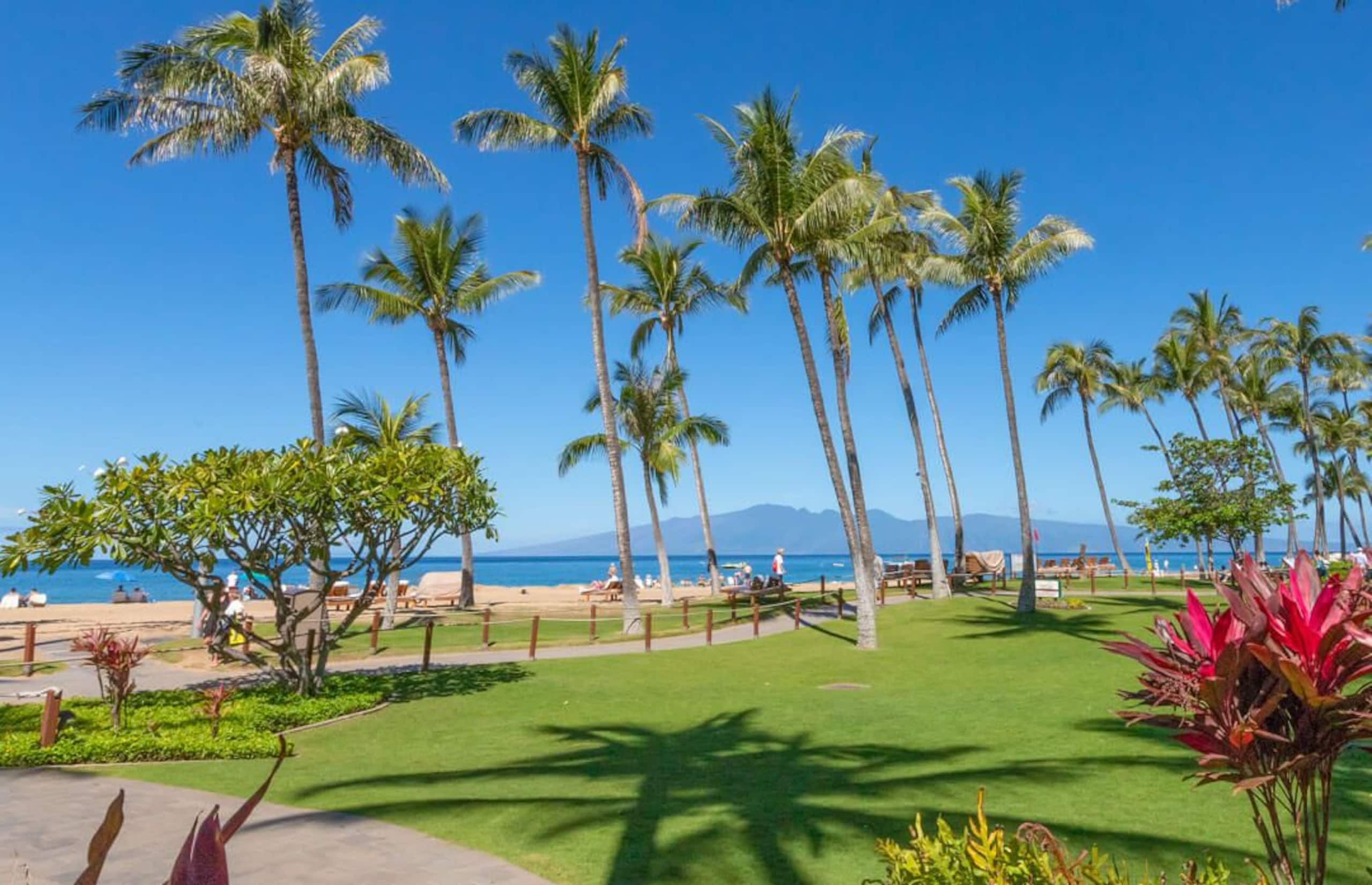 Condo in Lahaina · ★5.0 · 2 bedrooms · 3 beds · 2 baths - Image 44
