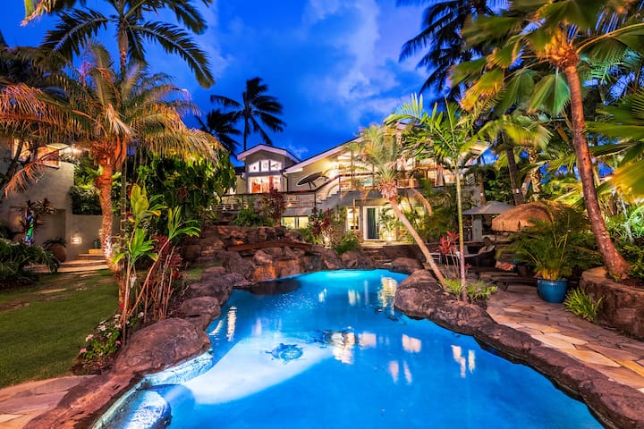 Palione Papalani – Kailua License #1990/NUC-1787