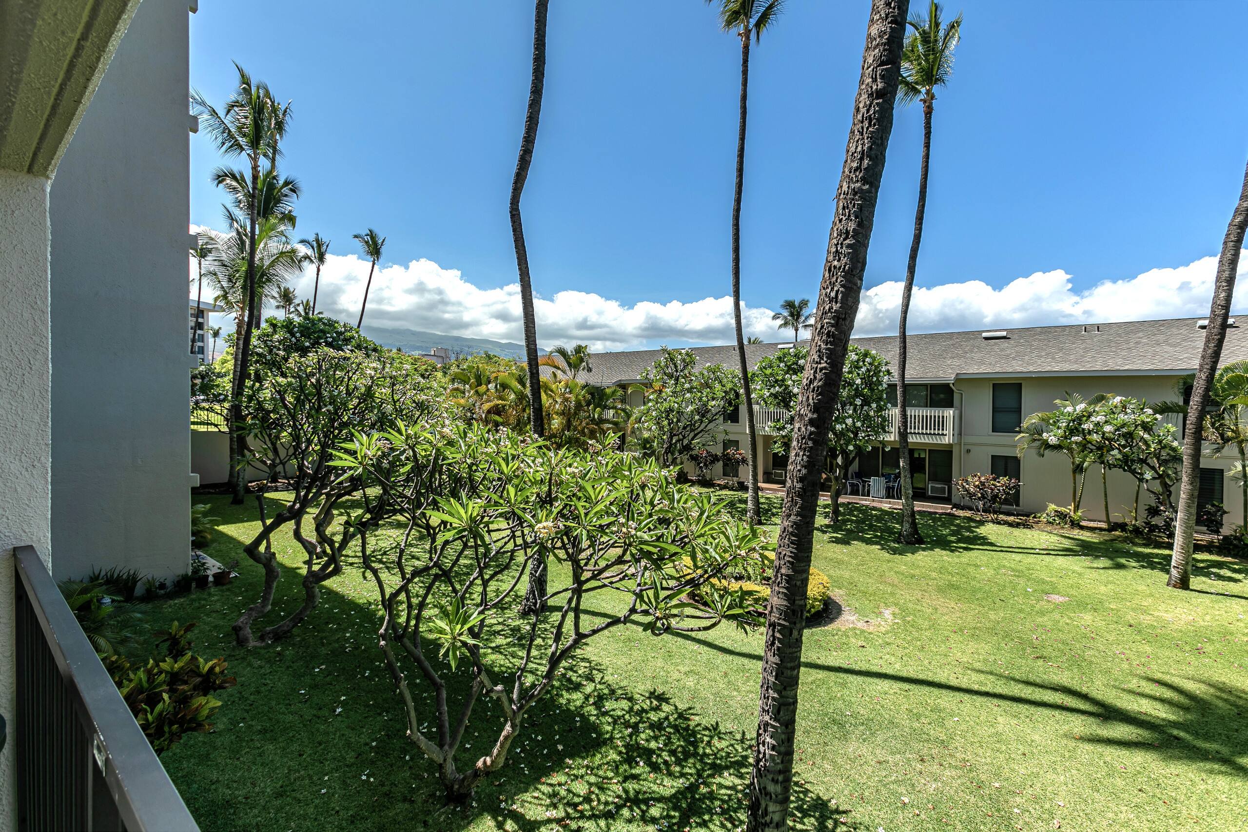 Condo in Kihei · ★4.67 · 1 bedroom · 2 beds · 1 bath - Image 19