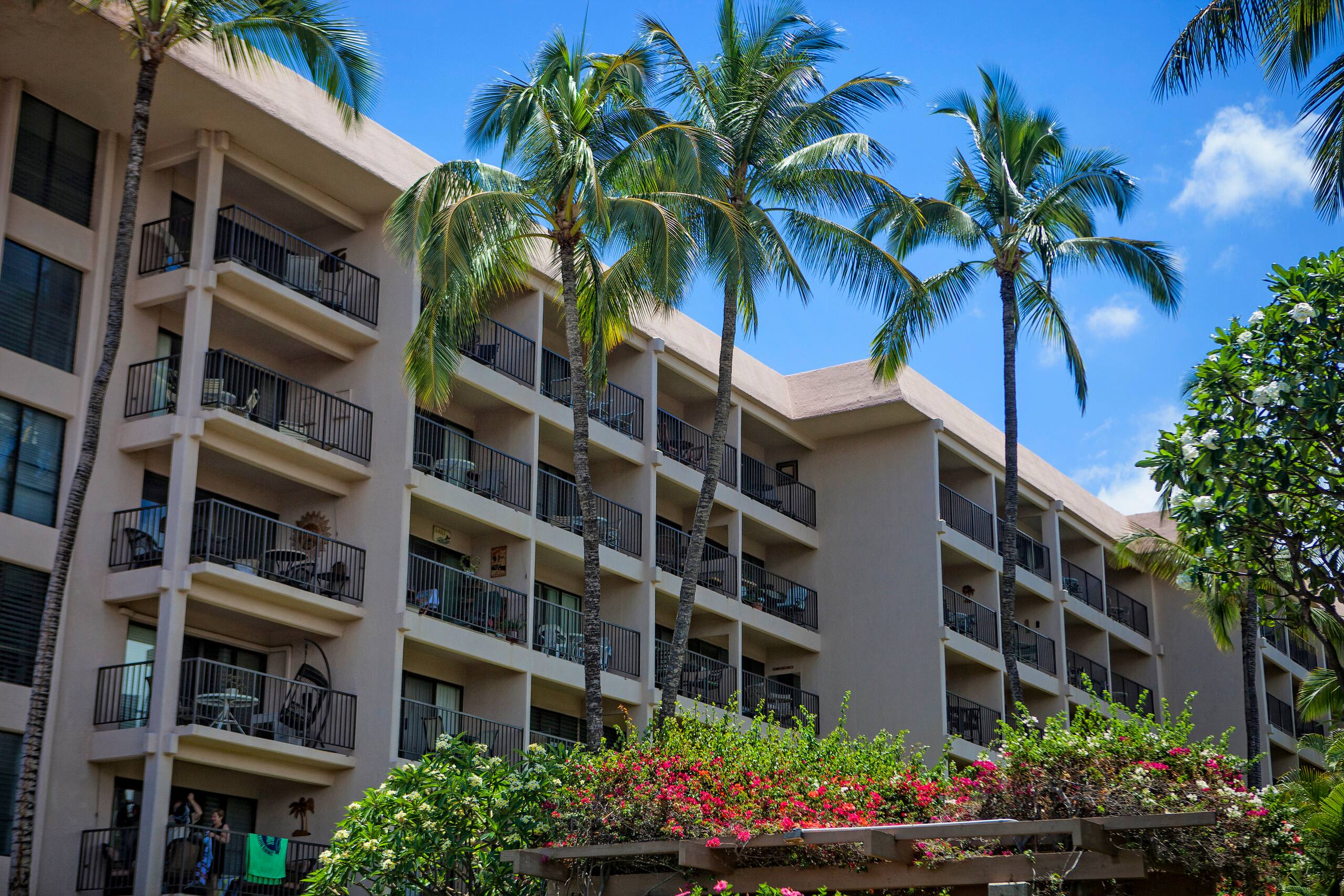 Condo in Kihei · ★4.67 · 1 bedroom · 2 beds · 1 bath - Image 20