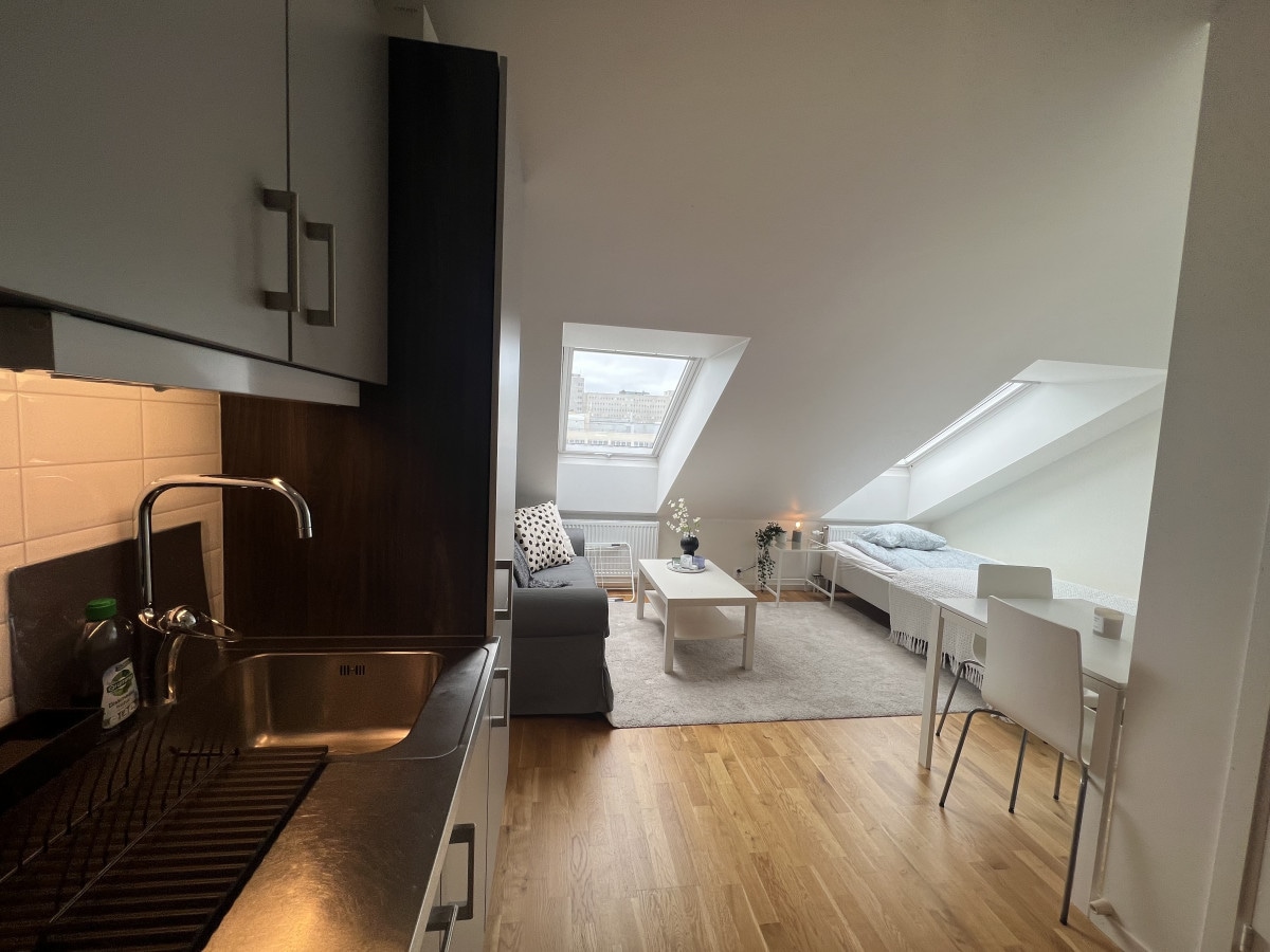The studio features a modern kitchenette with a sink and cabinetry, integrating with a cozy living area. A sofa and a small table are visible, along with a spacious bed positioned under slanted windows that allow natural light to fill the room.