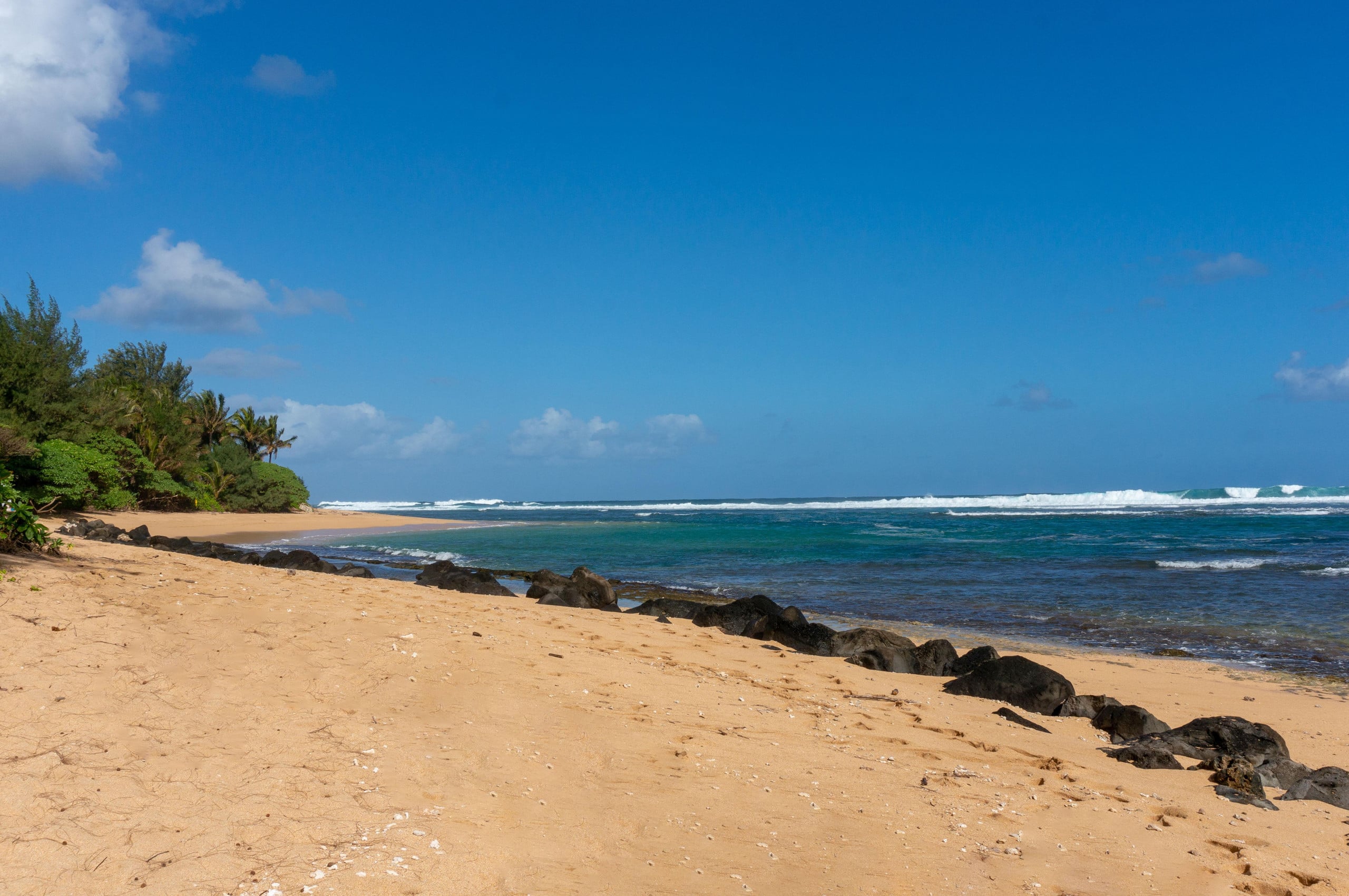 Condo in Hanalei · ★4.79 · 2 bedrooms · 2 beds · 1 bath - Image 40