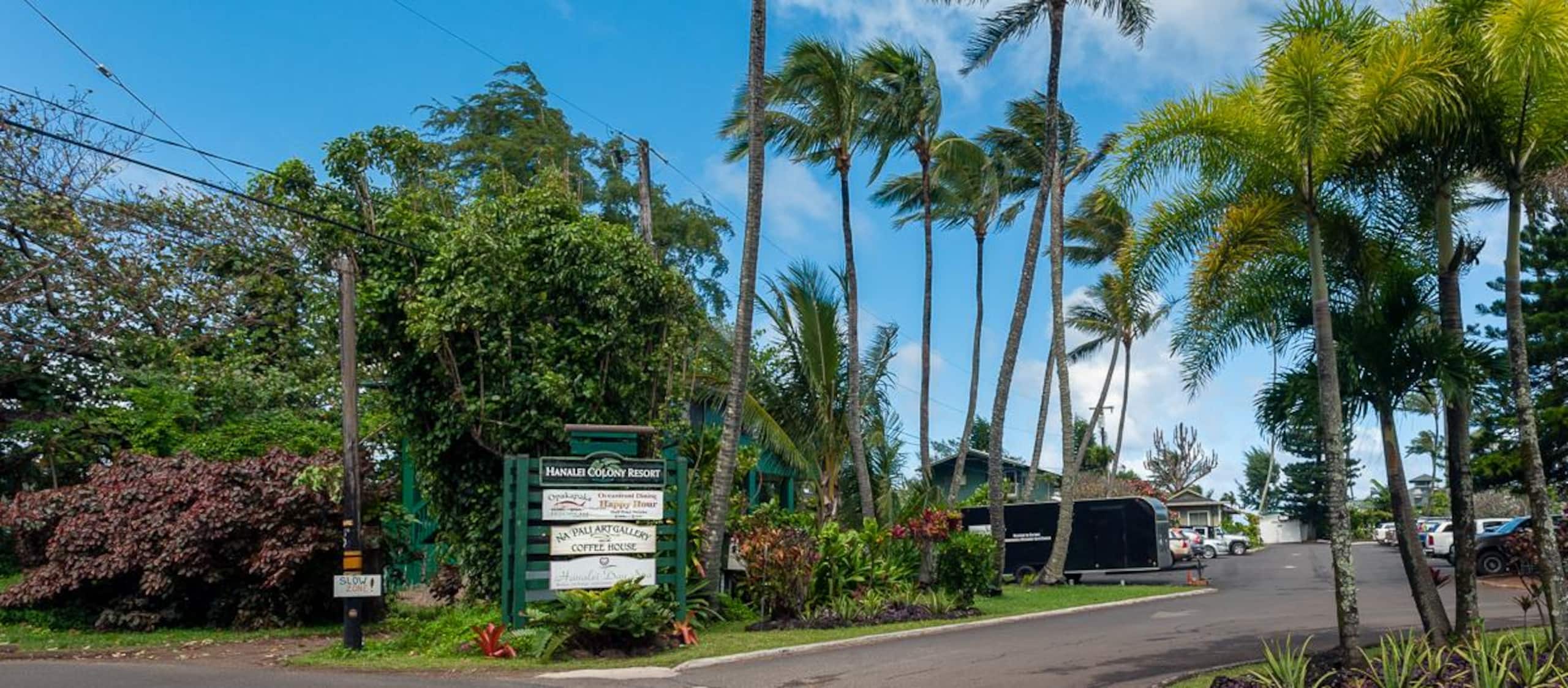 Condo in Hanalei · ★4.79 · 2 bedrooms · 2 beds · 1 bath - Image 37