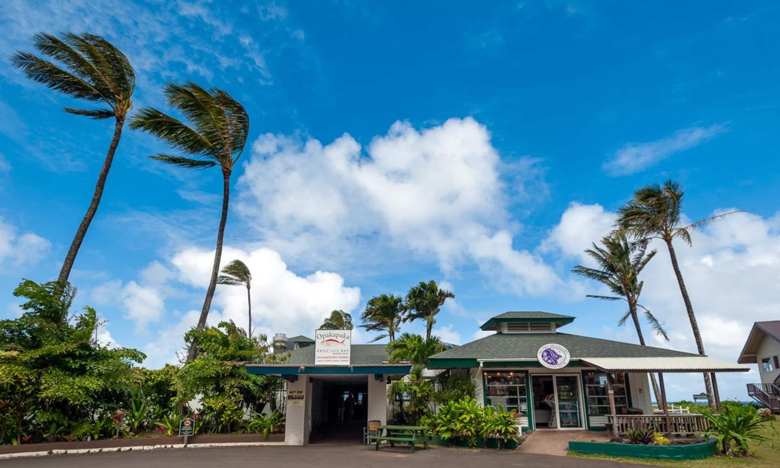 Condo in Hanalei · ★4.79 · 2 bedrooms · 2 beds · 1 bath - Image 38