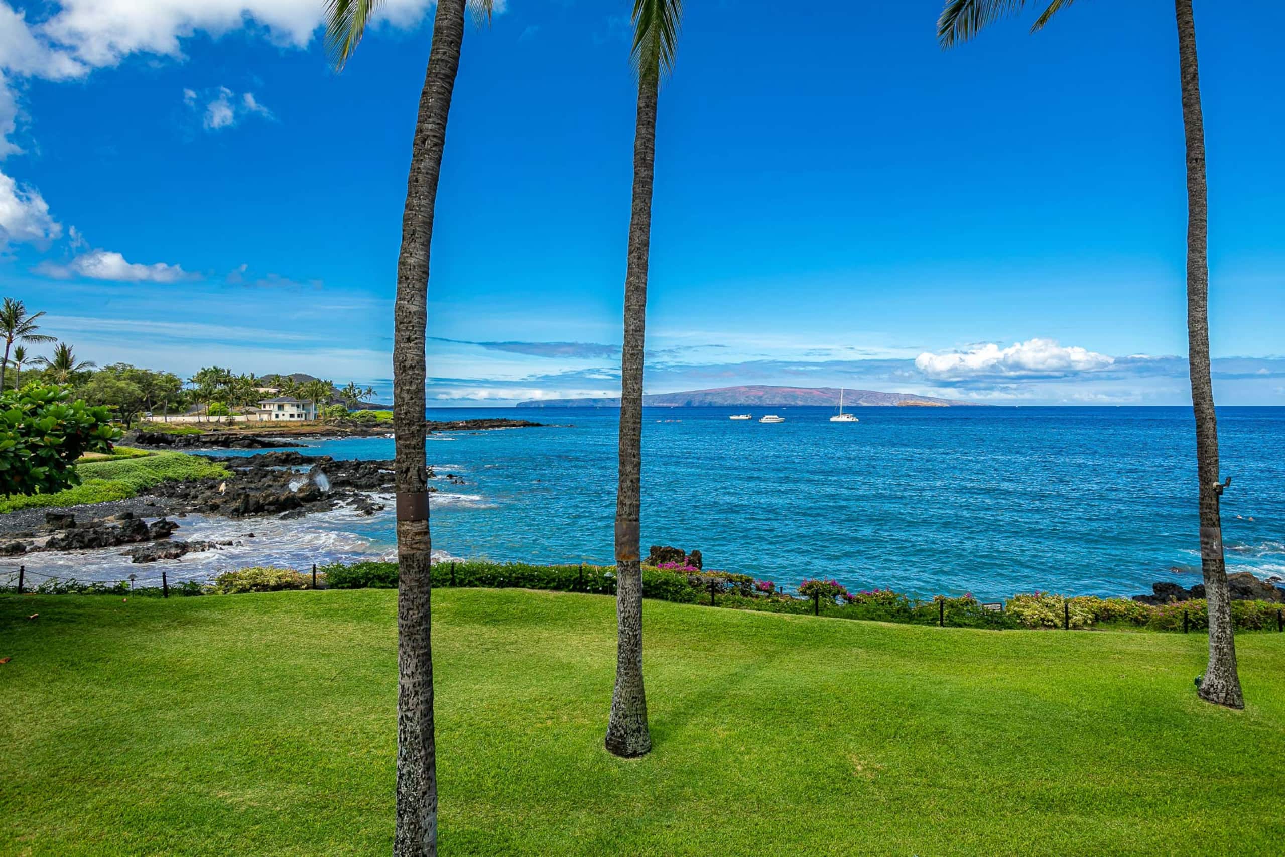 Condo in Kihei · ★5.0 · 2 bedrooms · 3 beds · 2 baths - Image 41