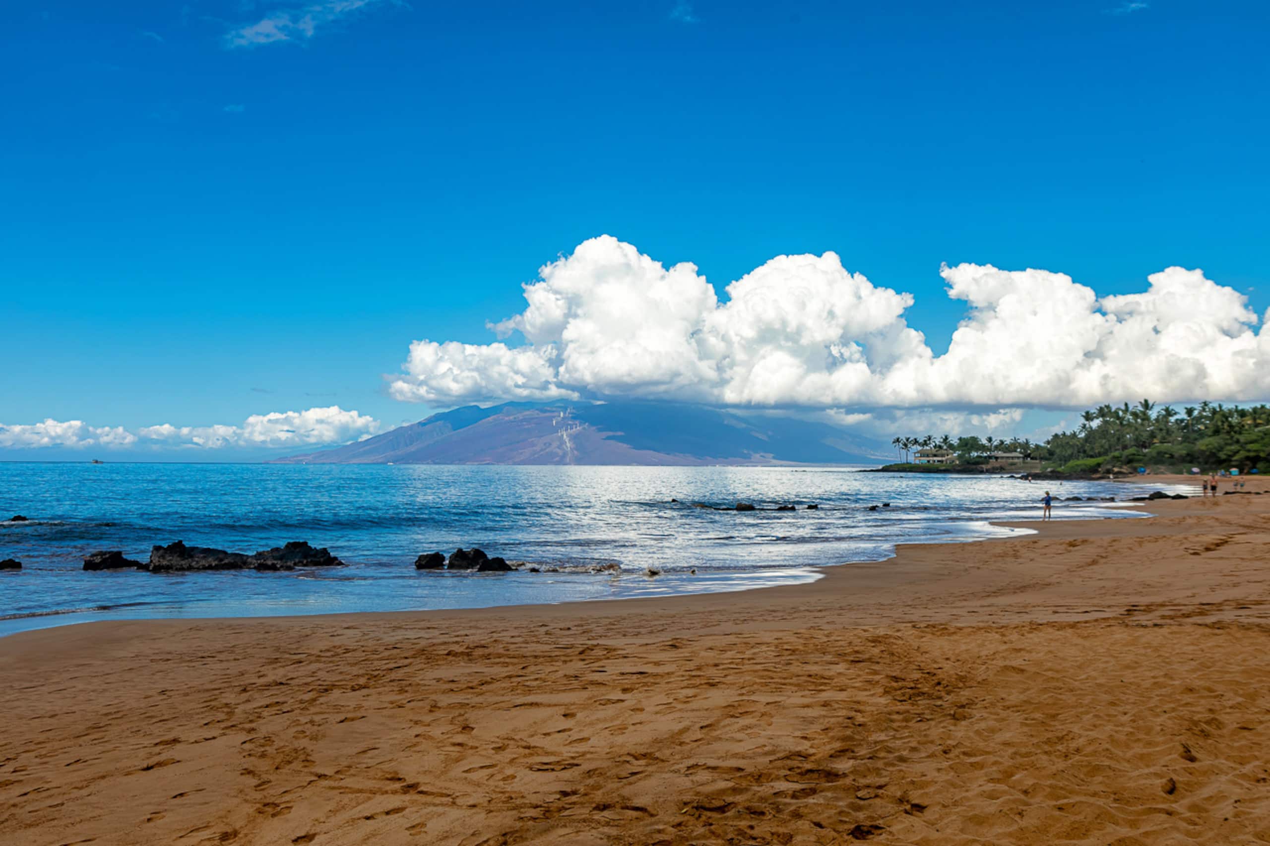 Condo in Kihei · ★5.0 · 2 bedrooms · 3 beds · 2 baths - Image 50