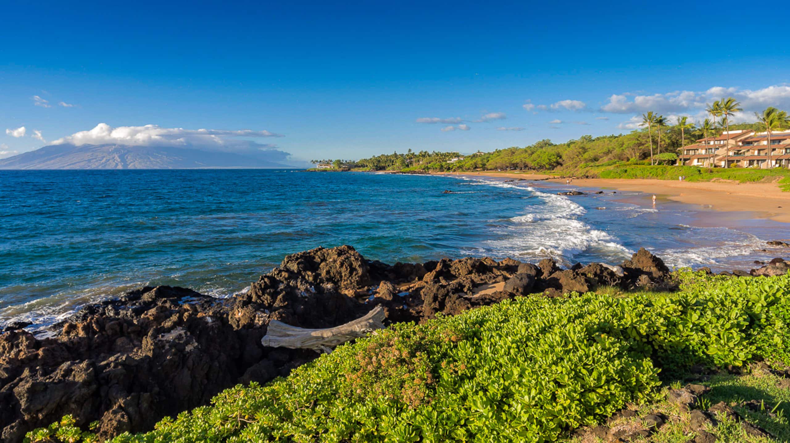 Condo in Kihei · ★5.0 · 2 bedrooms · 3 beds · 2 baths - Image 46