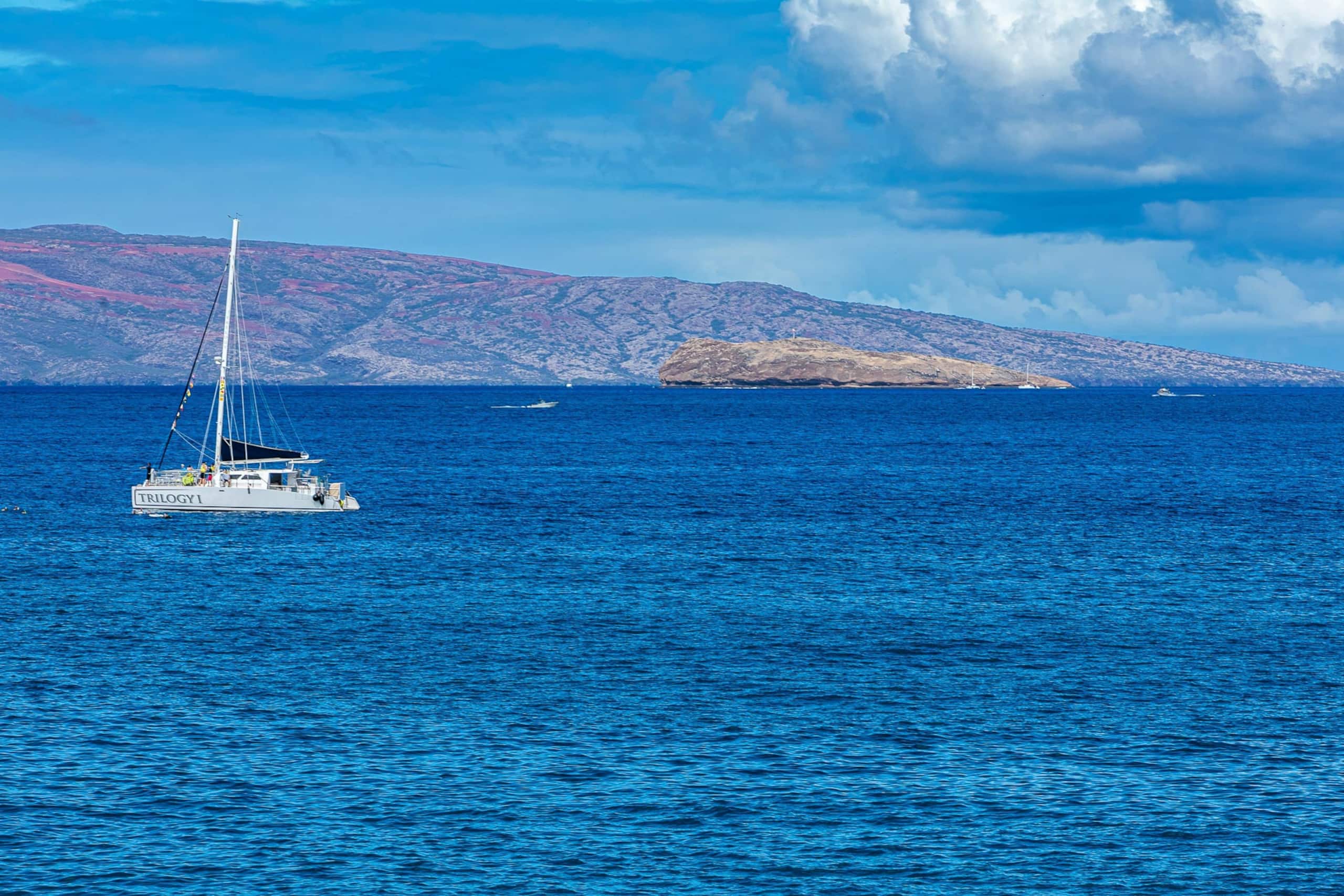 Condo in Kihei · ★5.0 · 2 bedrooms · 3 beds · 2 baths - Image 40