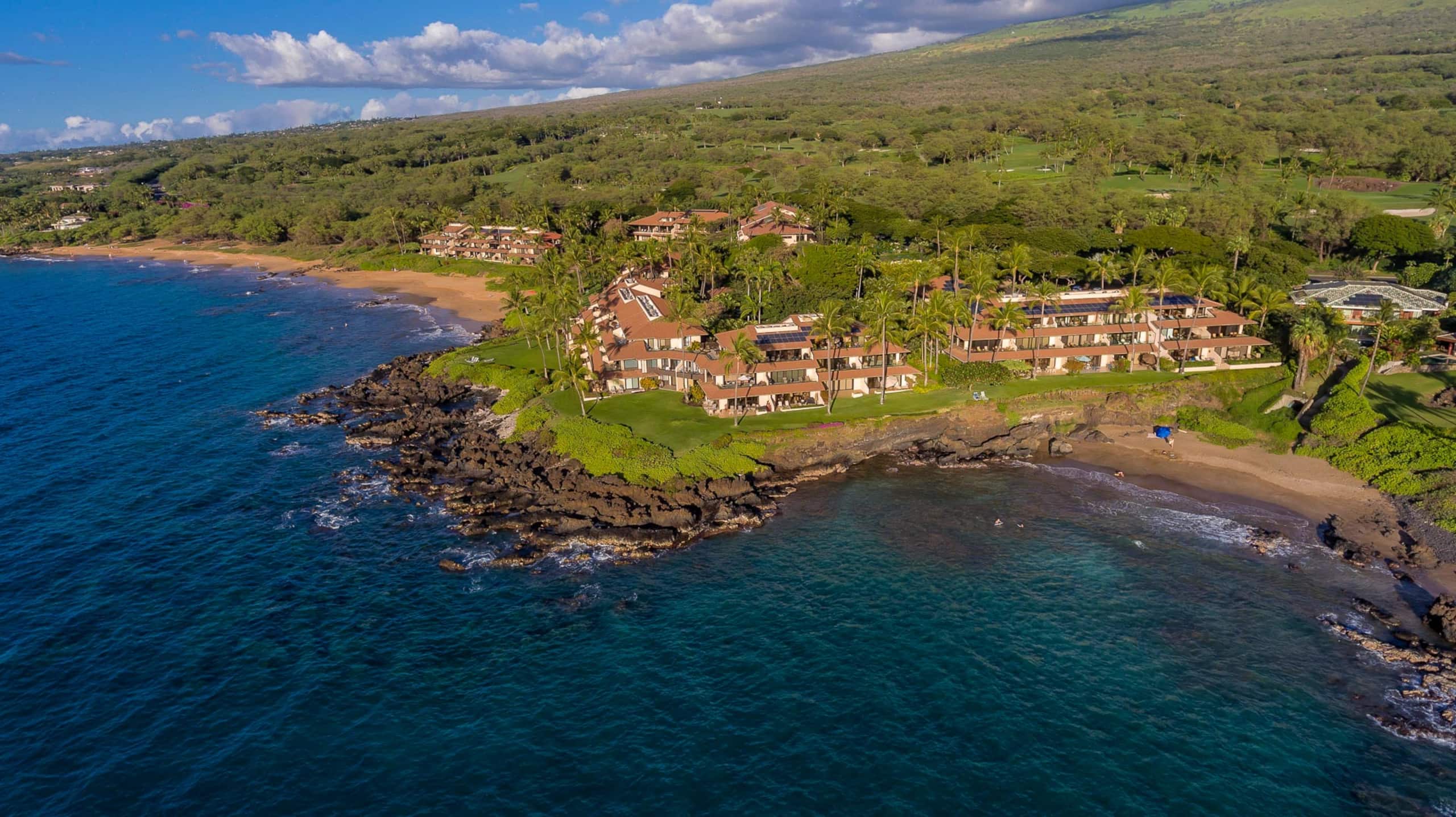 Condo in Kihei · ★5.0 · 2 bedrooms · 3 beds · 2 baths - Image 42