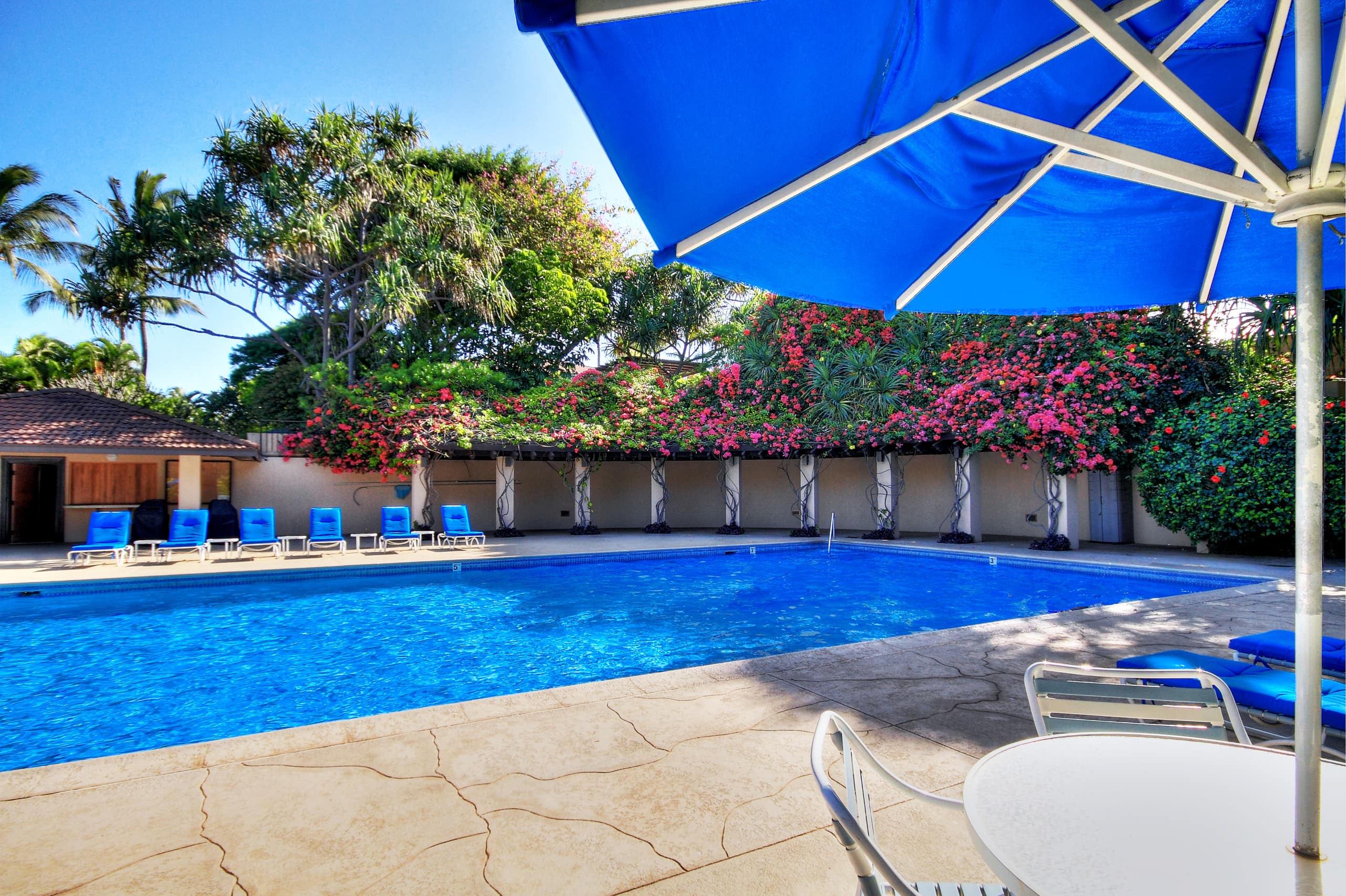 Condo in Kihei · ★5.0 · 2 bedrooms · 3 beds · 2 baths - Image 30