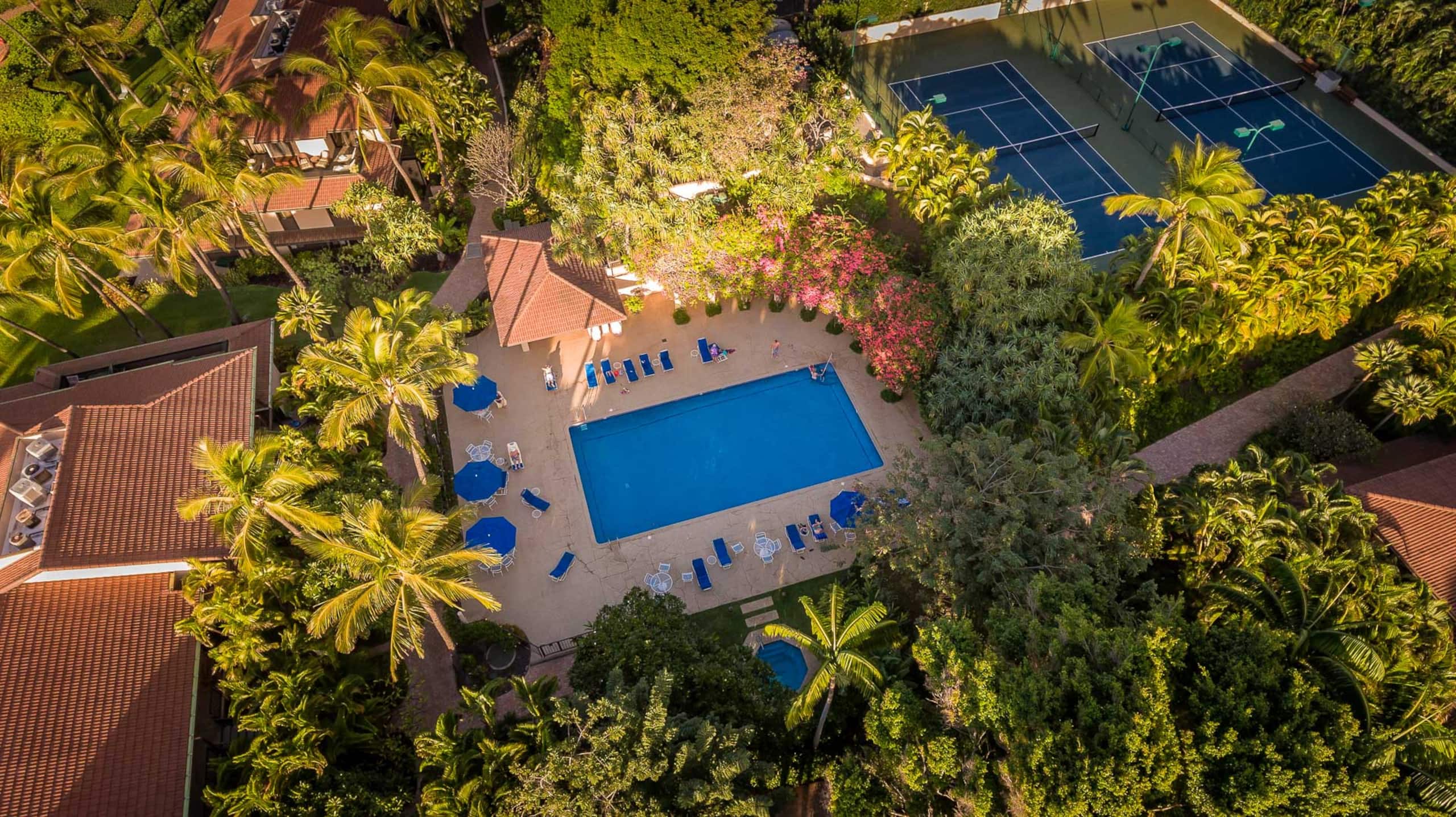 Condo in Kihei · ★5.0 · 2 bedrooms · 3 beds · 2 baths - Image 27