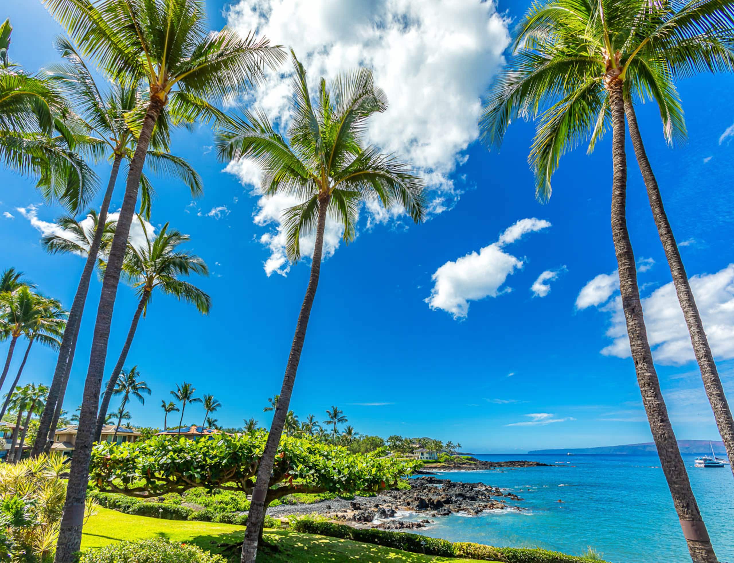 Condo in Kihei · ★5.0 · 2 bedrooms · 3 beds · 2 baths - Image 36
