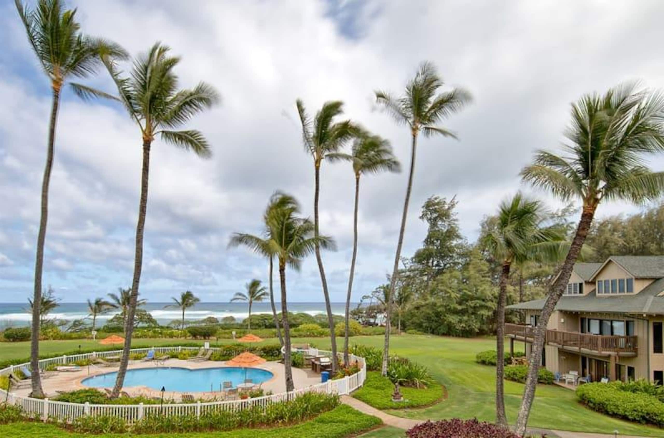 Oceanfront lanai w/ pool - steps to Lydgate - Photo 19