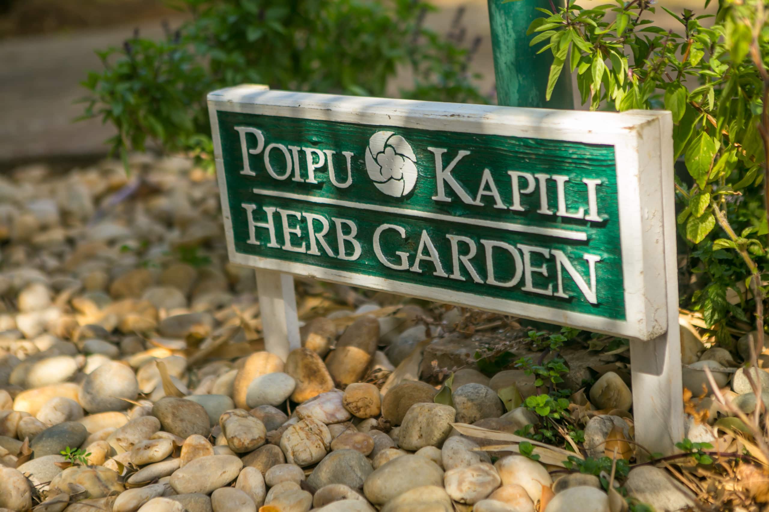 Condo in Koloa · ★5.0 · 1 bedroom · 2 beds · 2 baths - Image 27