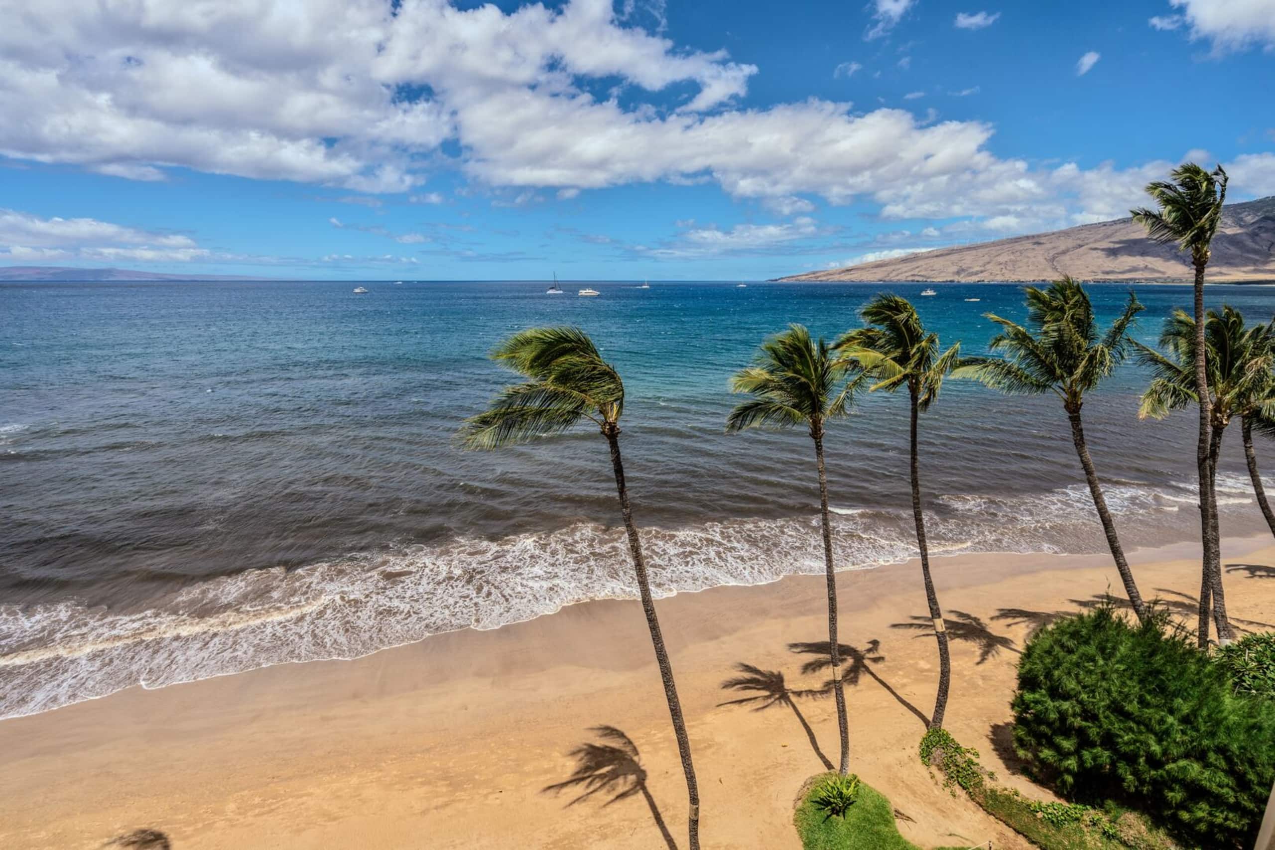 Condo in Kihei · ★4.79 · 1 bedroom · 2 beds · 1 bath - Image 26
