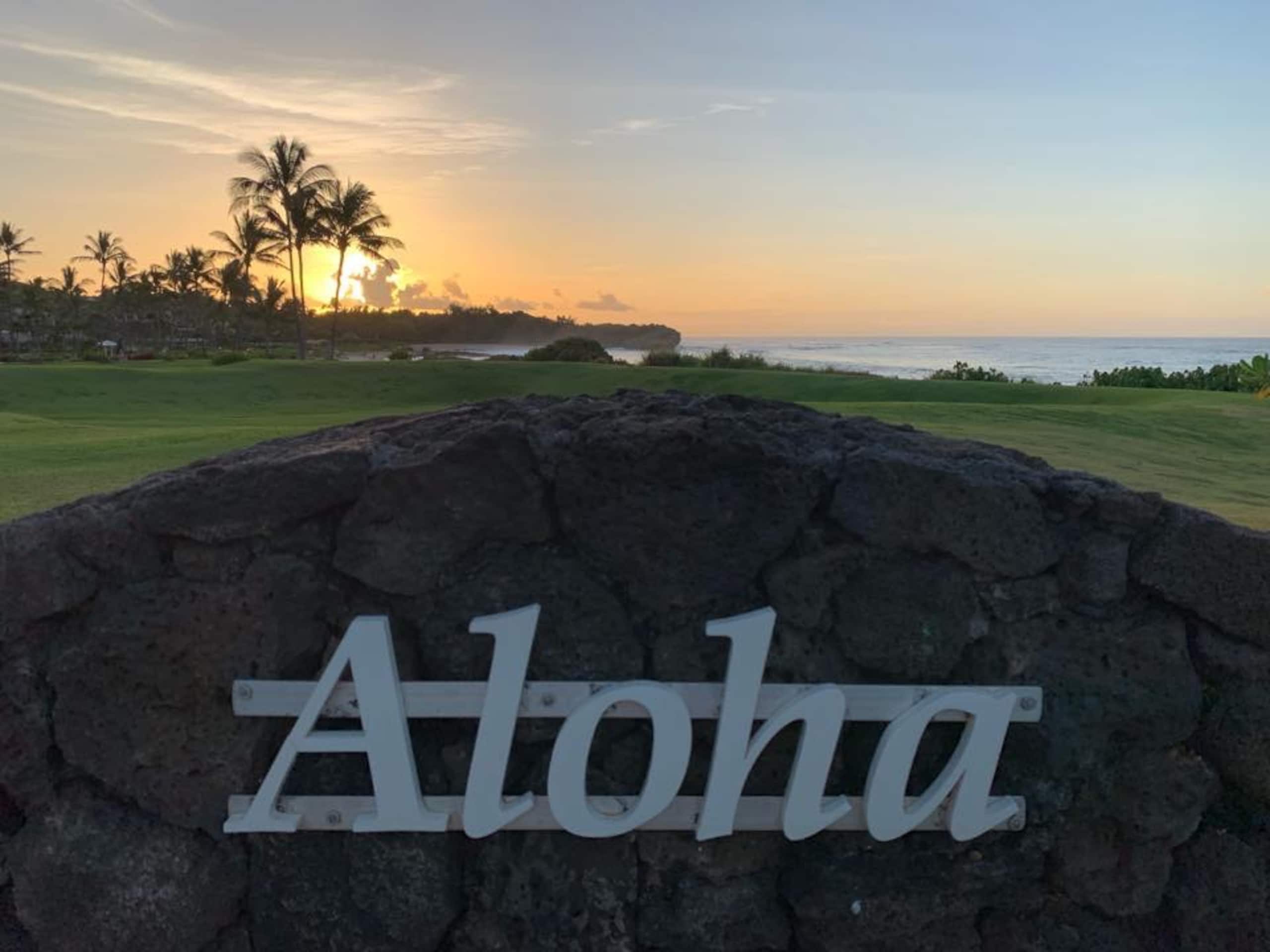 Condo in Koloa · ★4.89 · 3 bedrooms · 4 beds · 3 baths - Photo 55