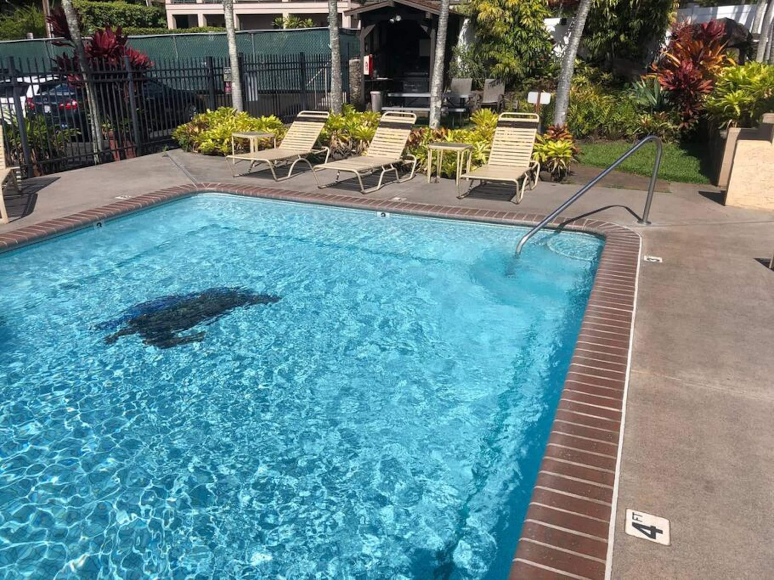 Condo in Lahaina · ★4.79 · 1 bedroom · 2 beds · 1 bath - Image 13