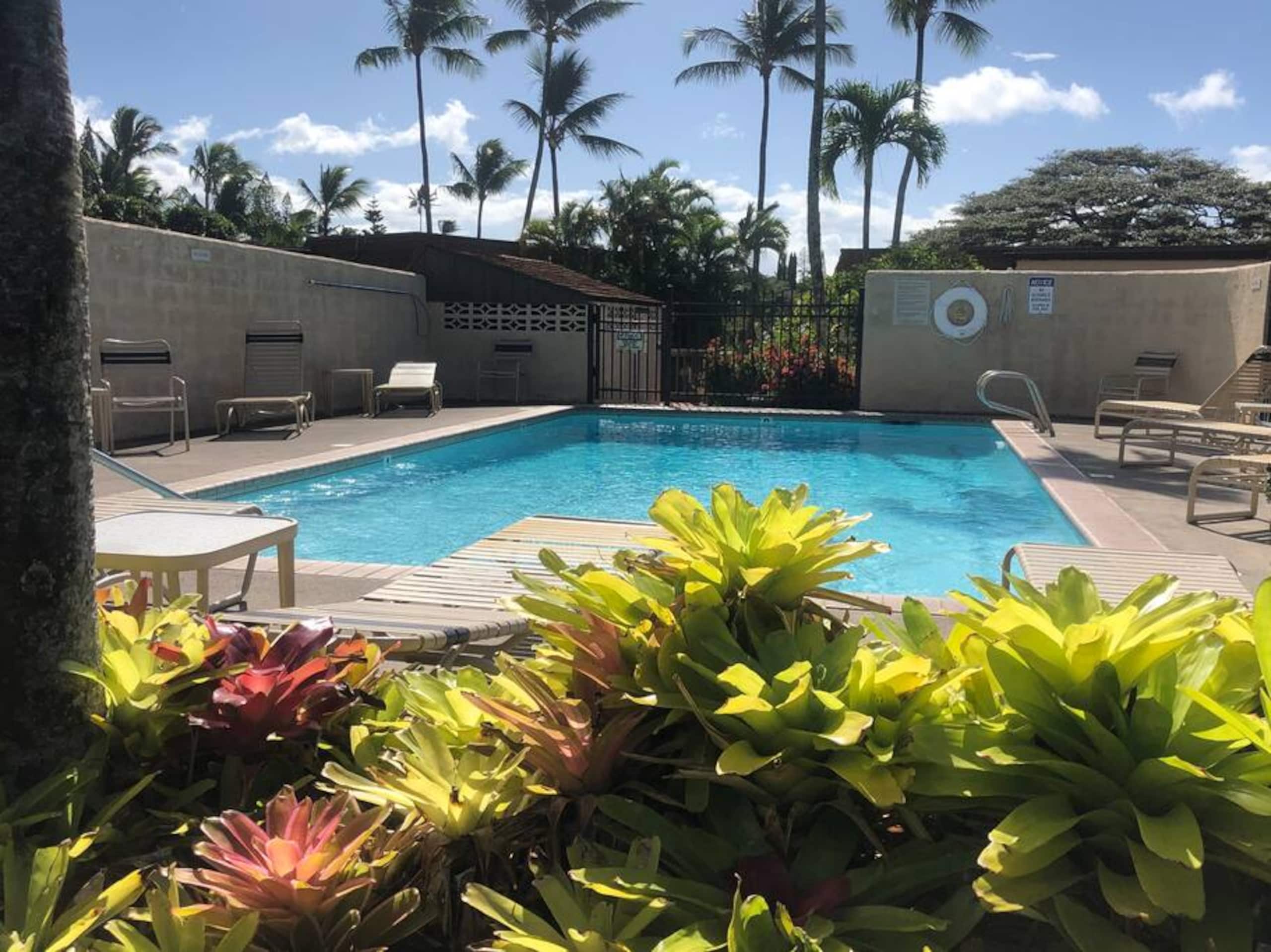 Condo in Lahaina · ★4.79 · 1 bedroom · 2 beds · 1 bath - Image 21