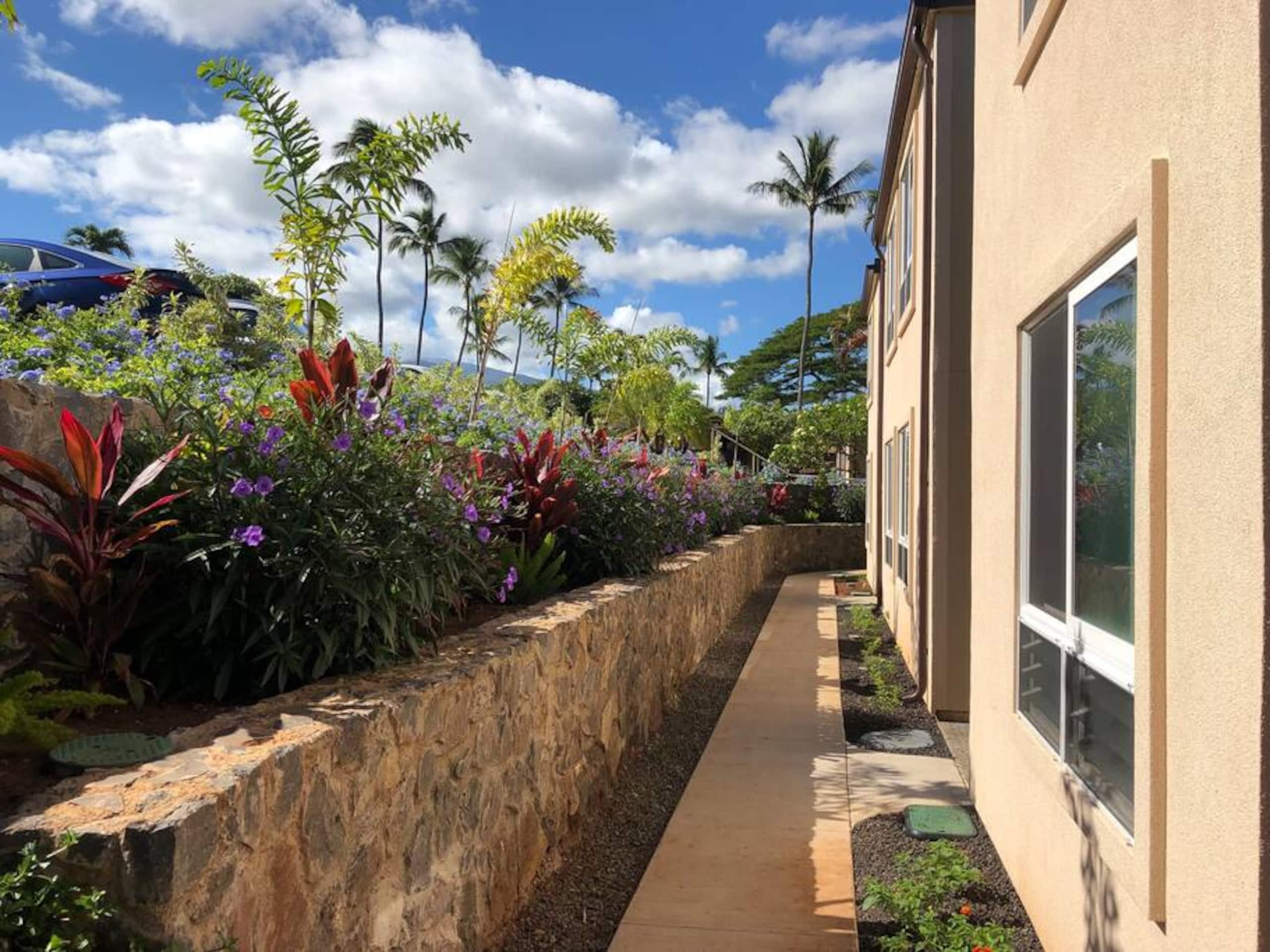 Condo in Lahaina · ★4.79 · 1 bedroom · 2 beds · 1 bath - Image 20