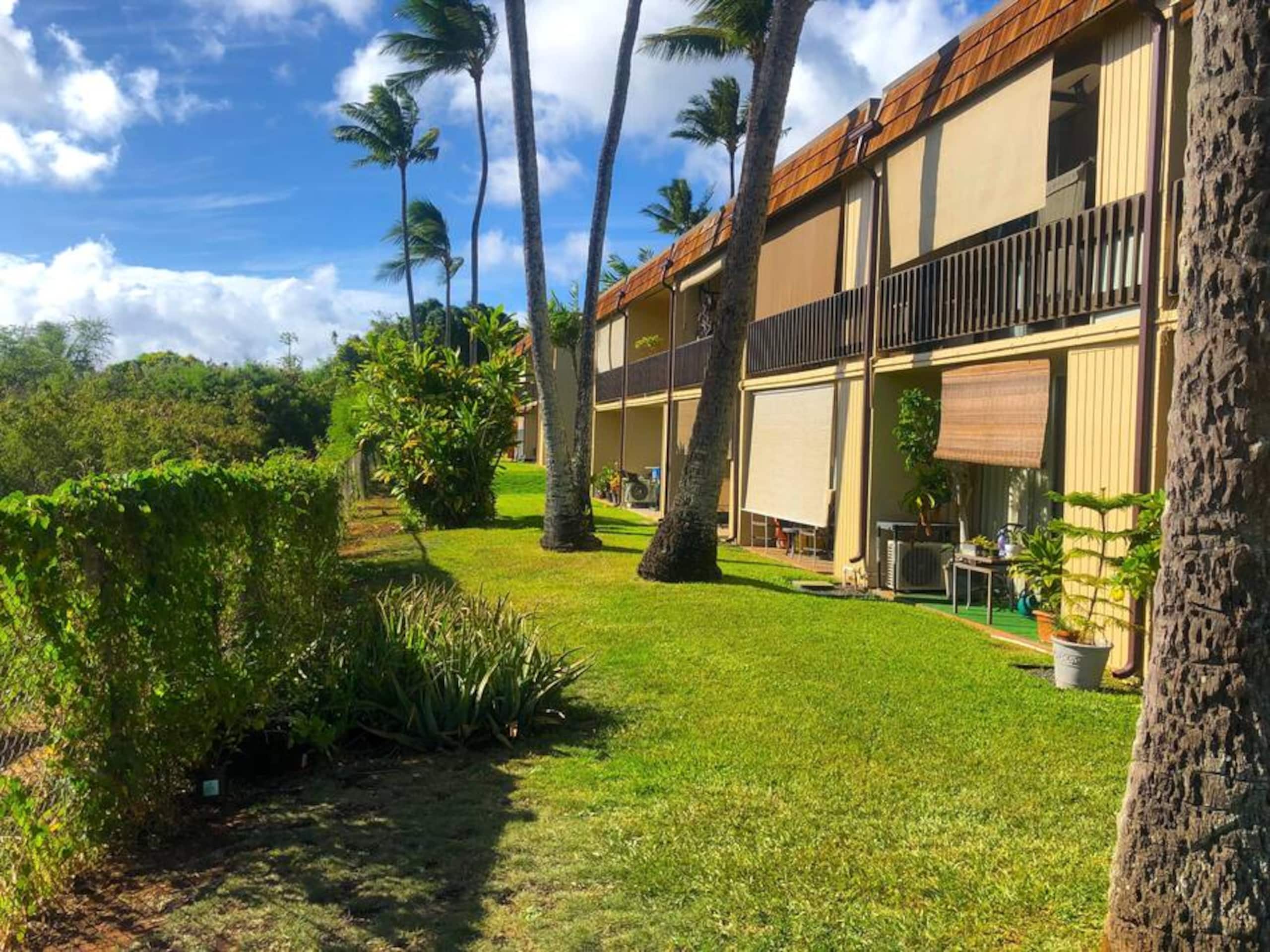 Condo in Lahaina · ★4.79 · 1 bedroom · 2 beds · 1 bath - Image 19