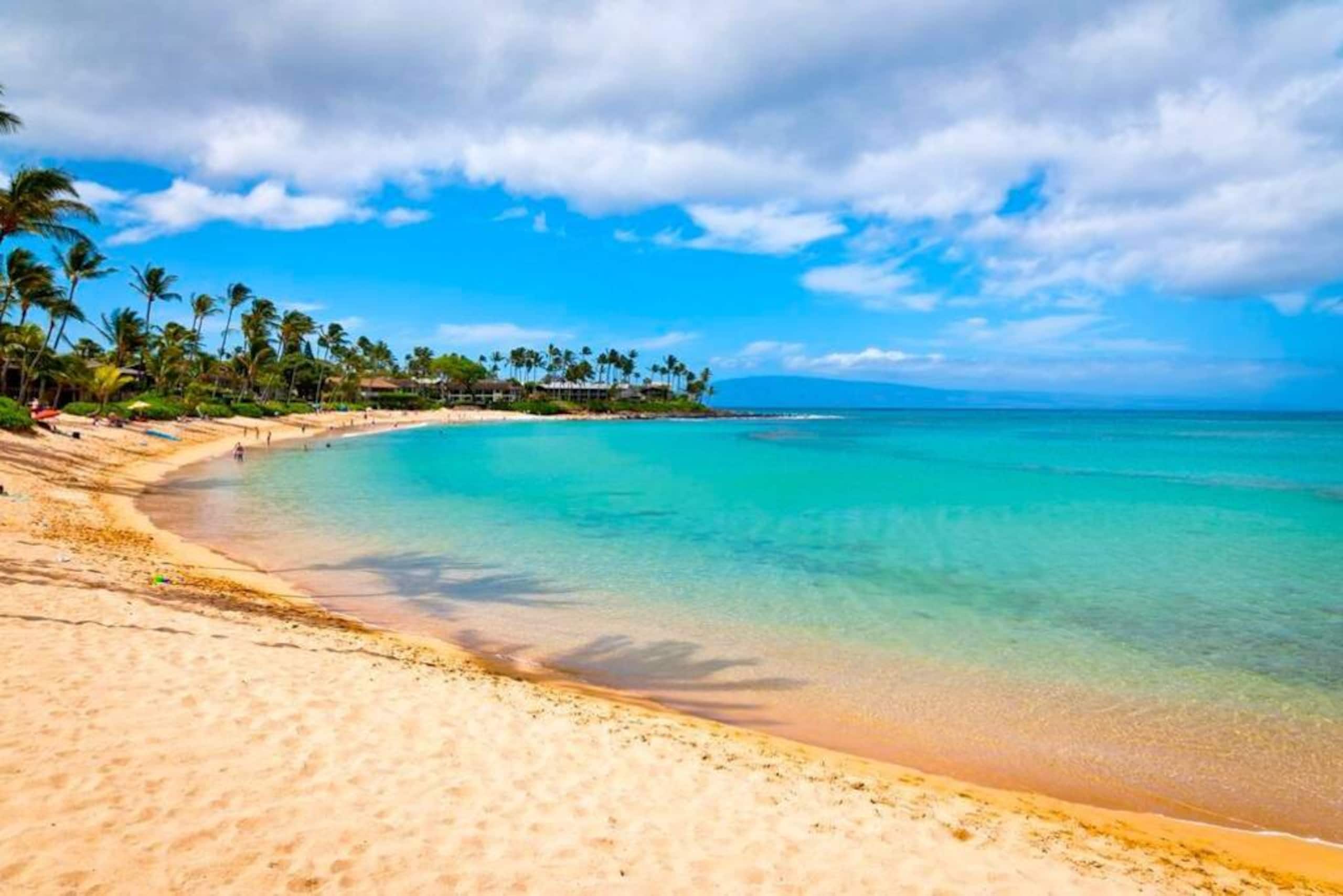 Condo in Lahaina · ★4.79 · 1 bedroom · 2 beds · 1 bath - Image 1