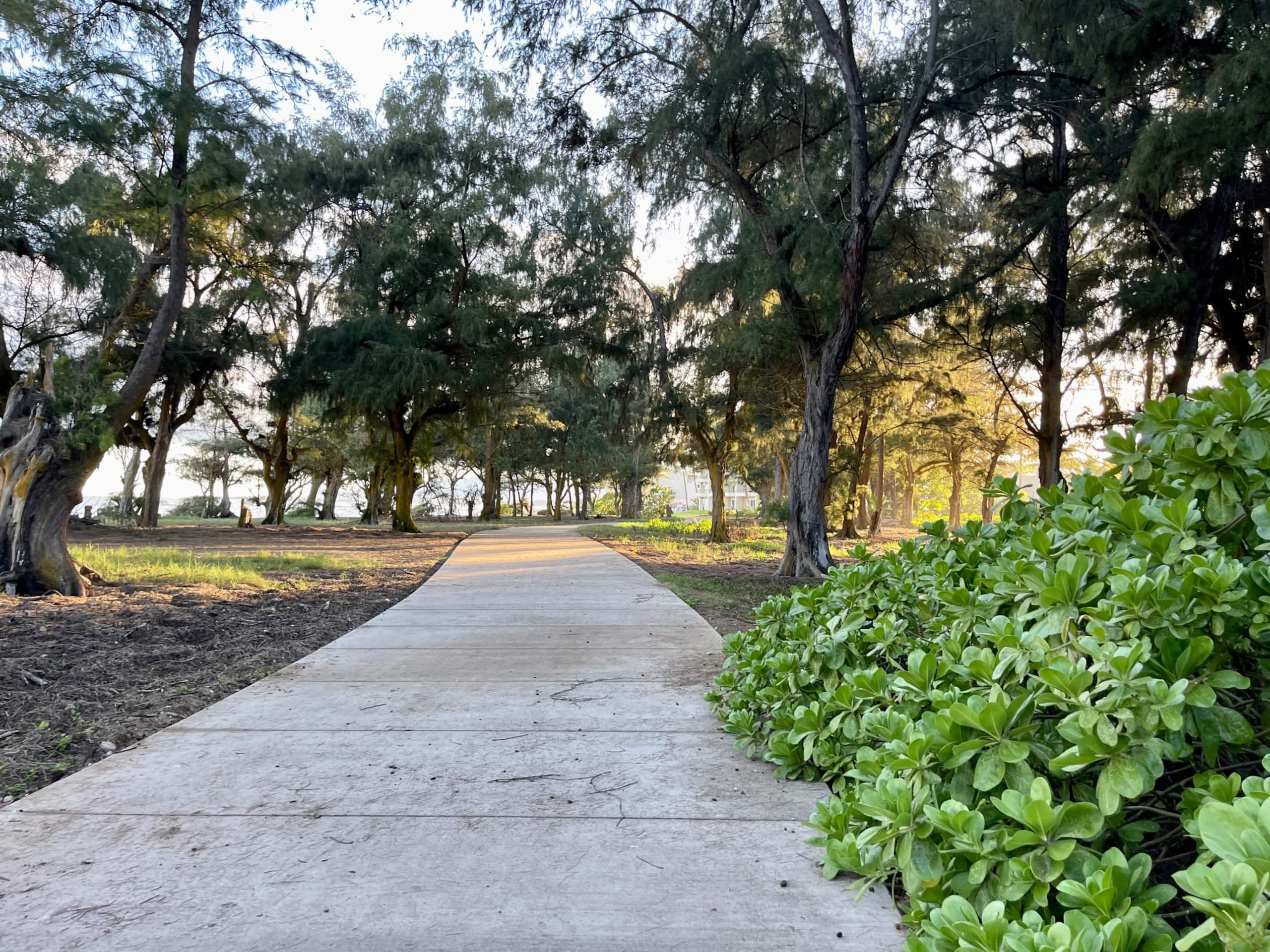 Village Manor F11, Walk to Kapaa Shops and Beaches - Photo 5