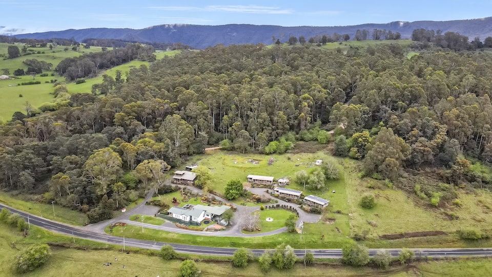 Mole Creek Cabins — Foto 1
