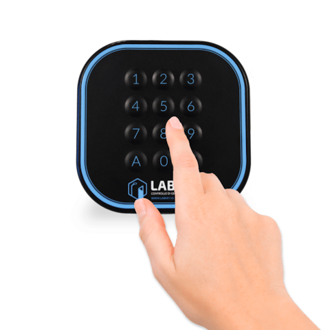 The Pieddo Apartment